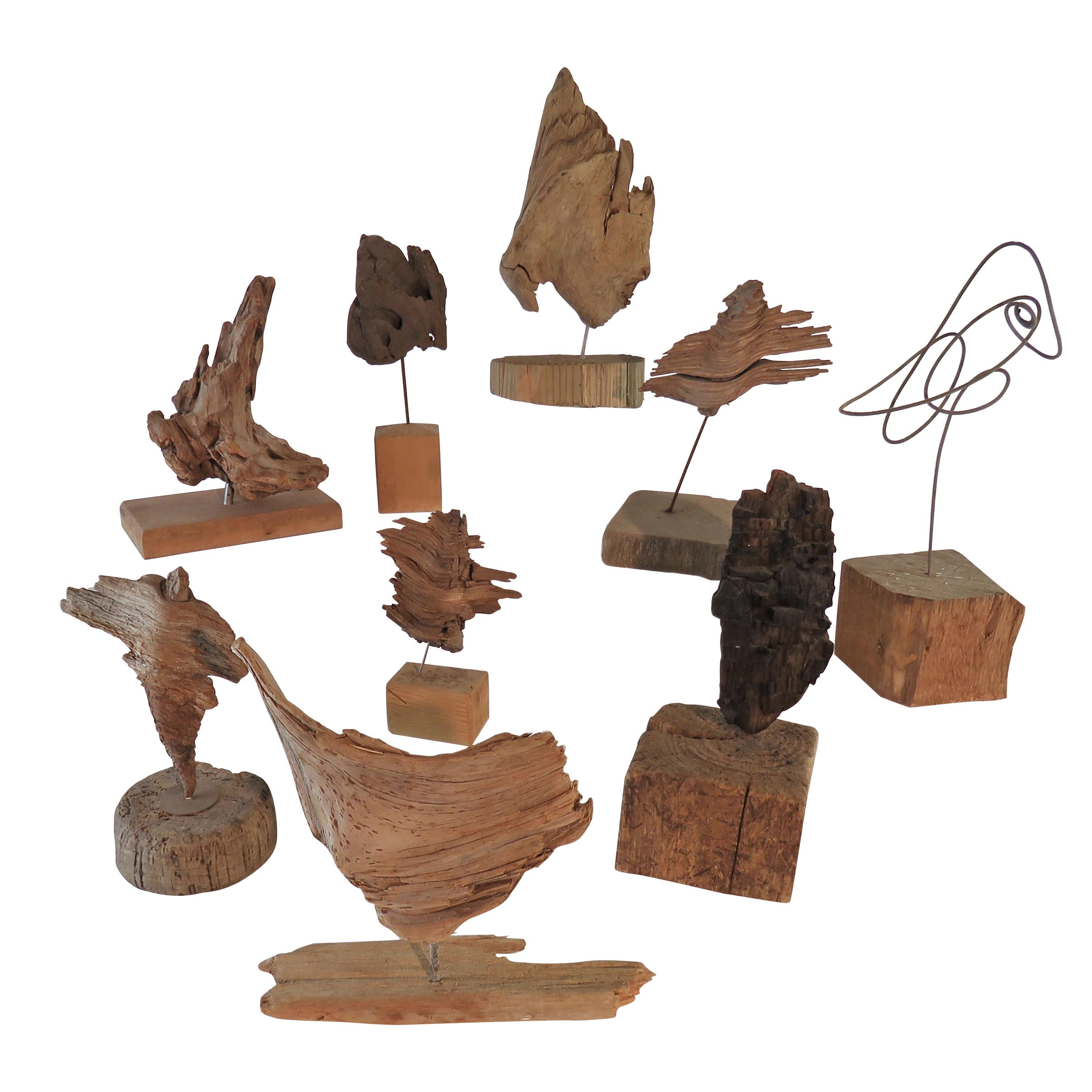 Collection of Abstract Driftwood Sculptures, Gloucester, MA, circa 1960s-1970s
