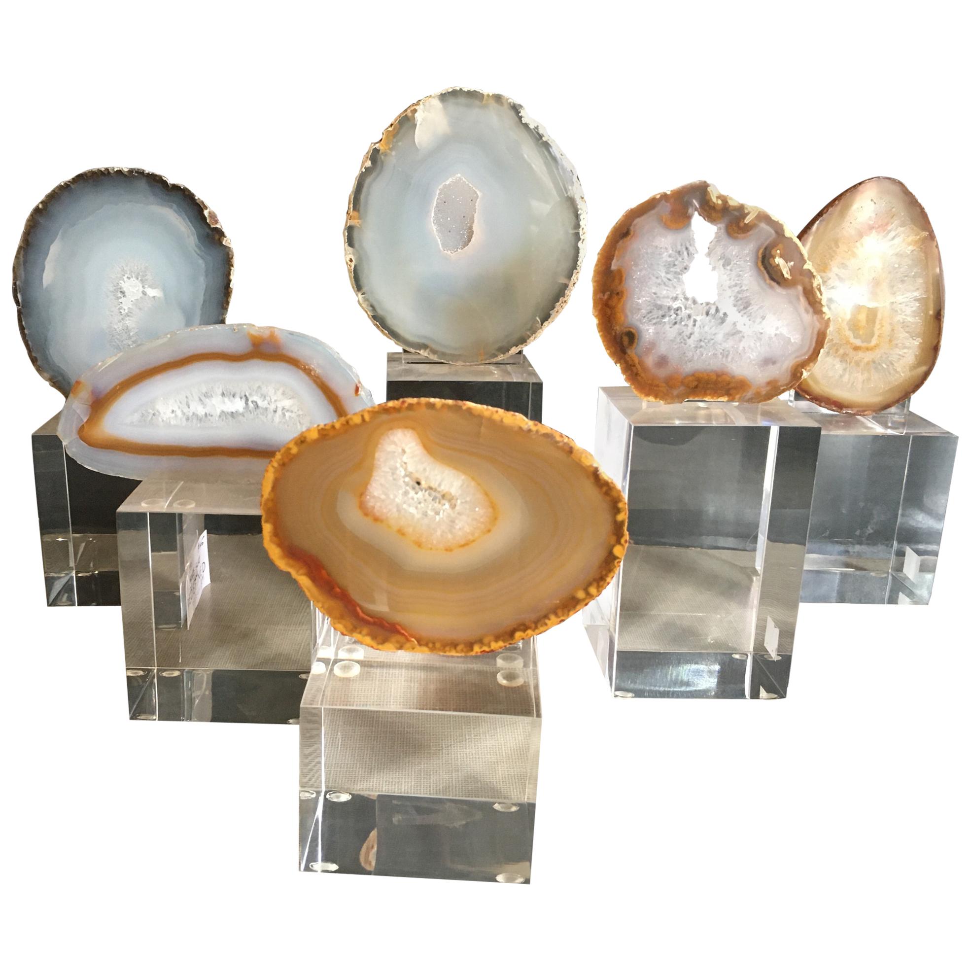 Collection of Agate Slices Mounted on Lucite