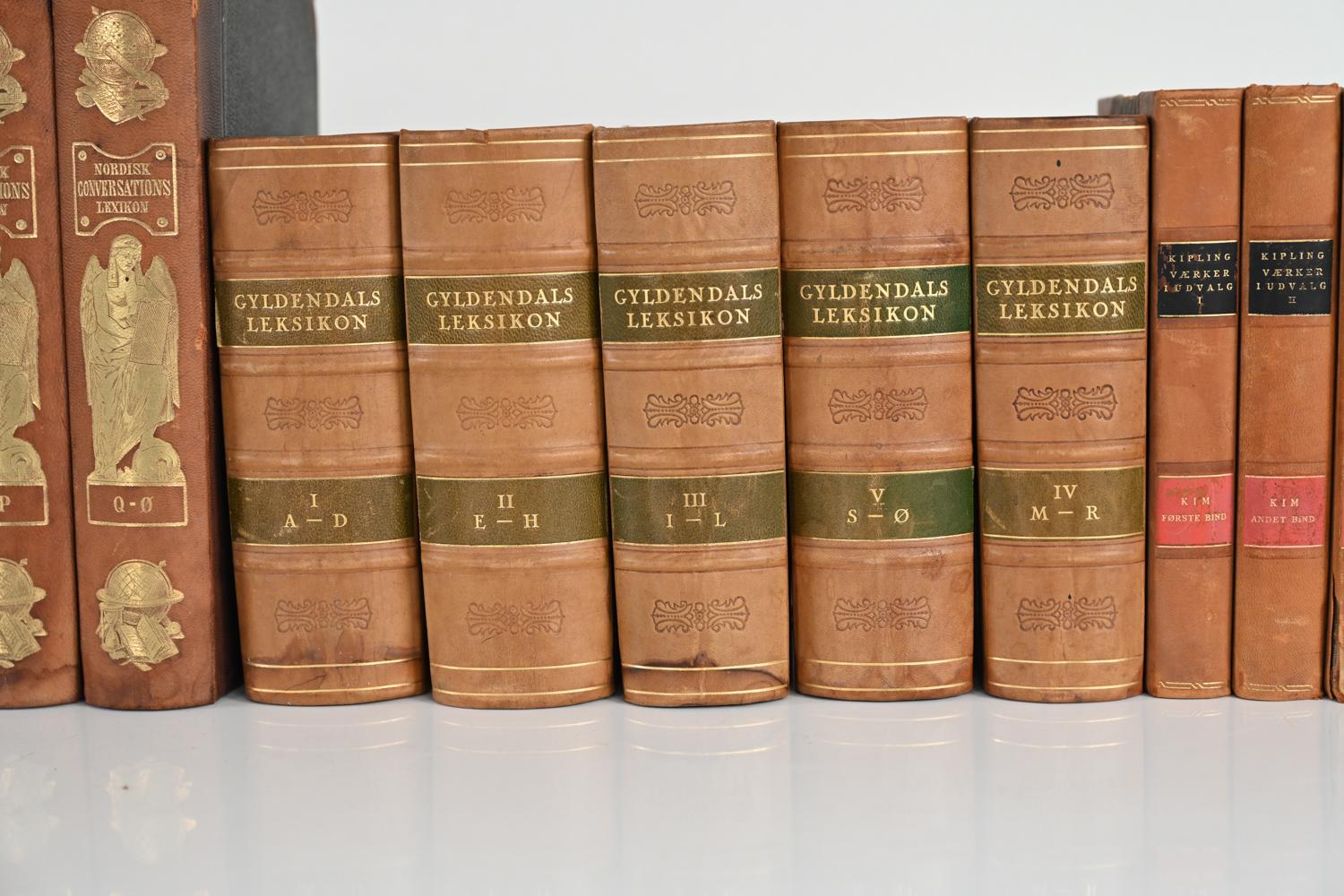 Collection of Antique Danish Leather-Bound Books; Over 18 Linear Feat 13