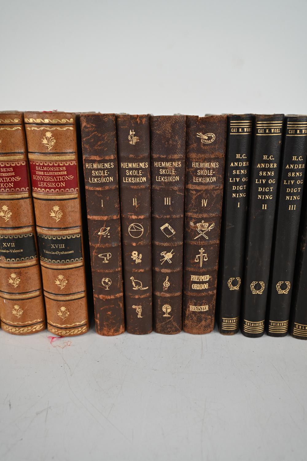 Collection of Antique Danish Leather-Bound Books; Over 18 Linear Feat 5