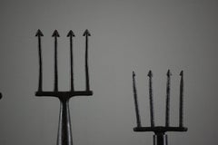 Collection of Antique Fishing Spears