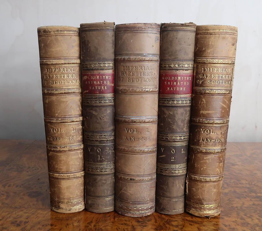 Great random set of 5 leather bindings for decoration

Lovely colours of slightly distressed leather with gilt tooling

The measurement below relates to 5 books.

Free Uk shipping






  
