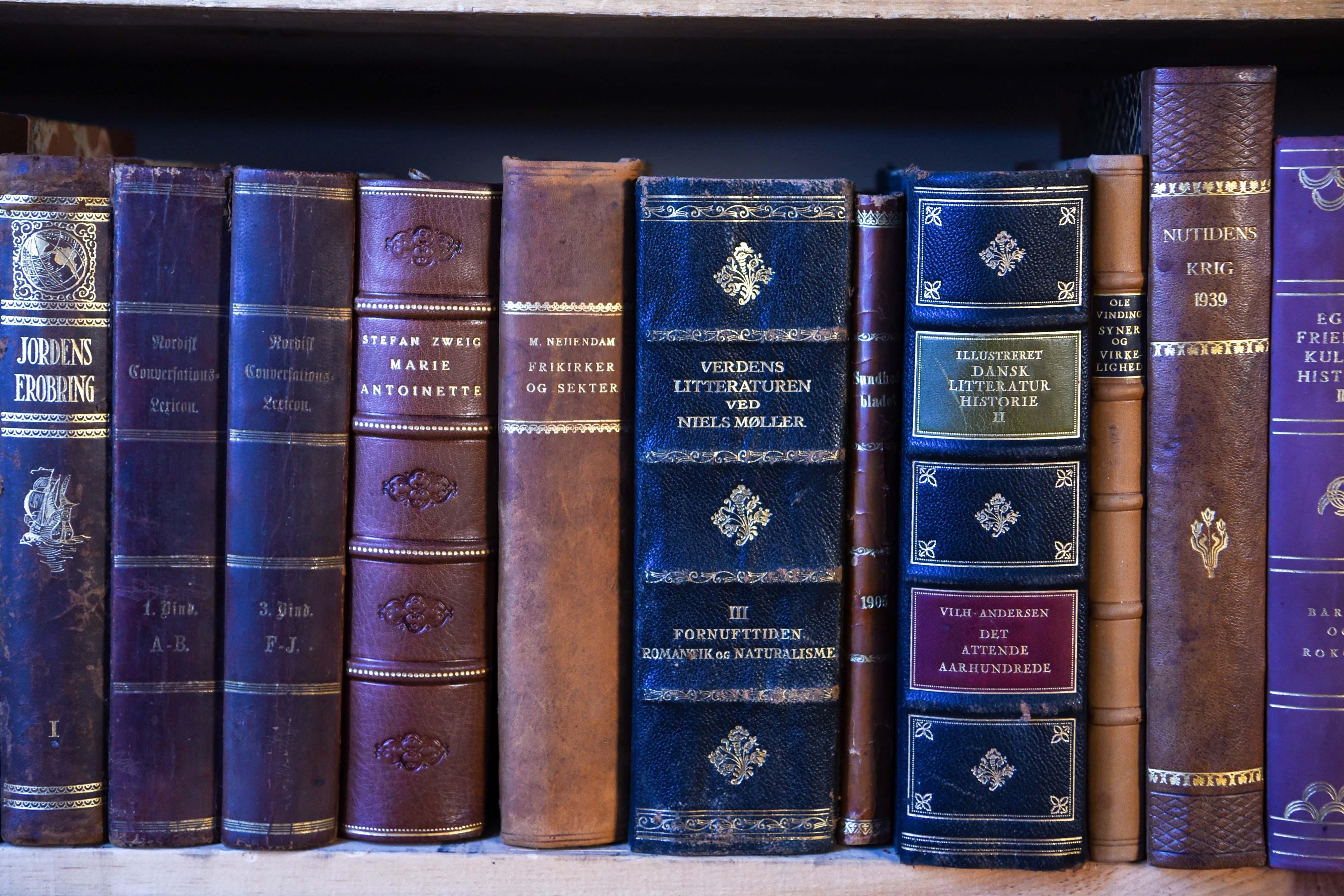 Collection of Antique Leather Bound Books 48 Linear Feet 5