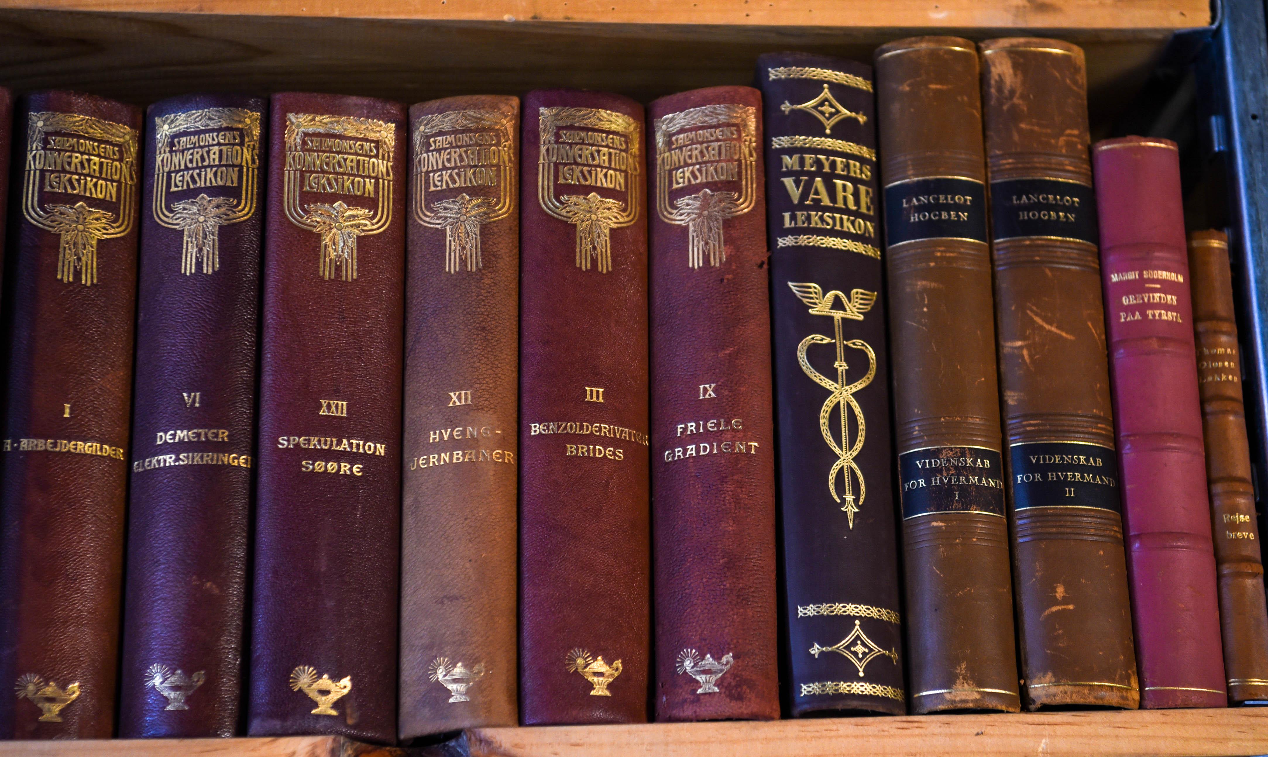 Collection of Antique Leather Bound Books 48 Linear Feet 1