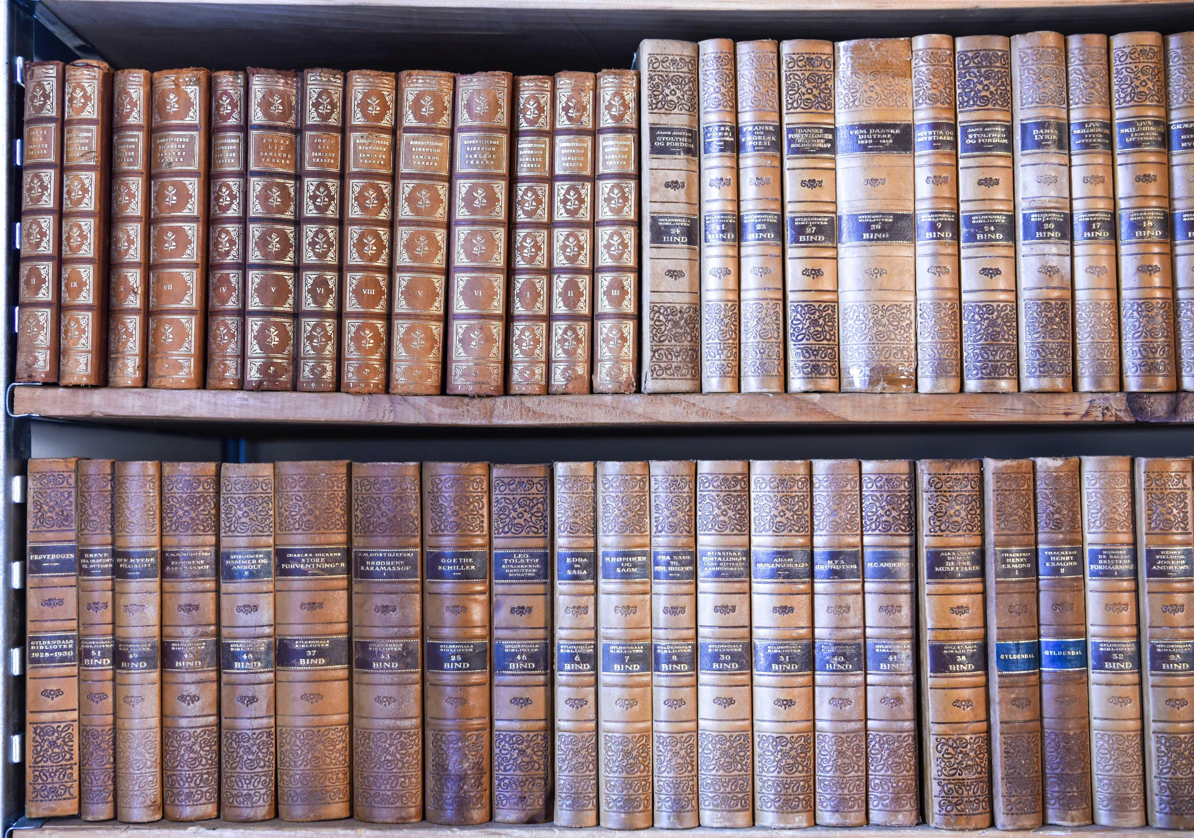Collection of Antique Leather Bound Books 48 Linear Feet 2