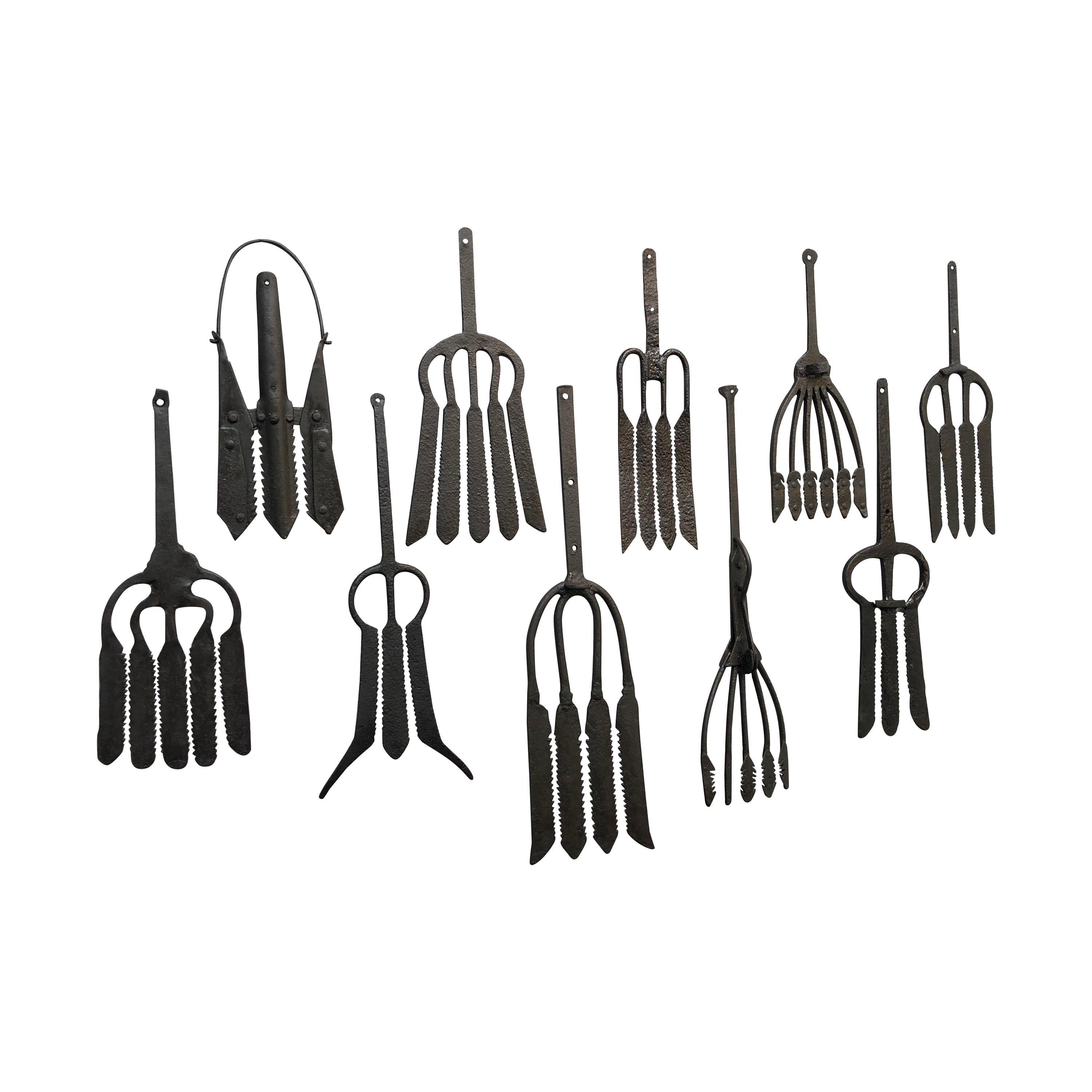 Collection of Antique Wrought Iron Eel Forks