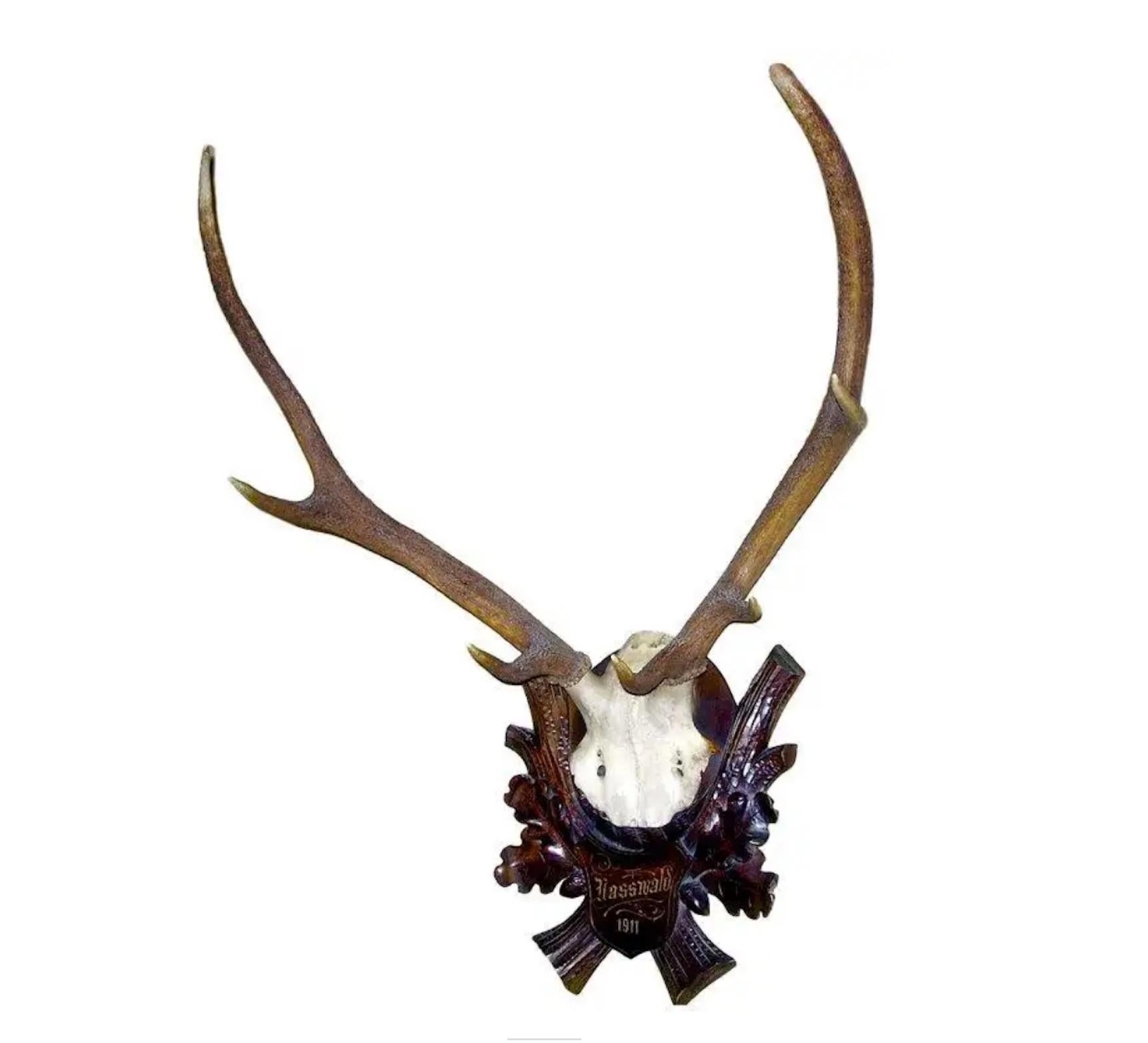 Austrian Collection of Black Forrest Mounts Including One Stag, Ten Roe and One Chinois For Sale