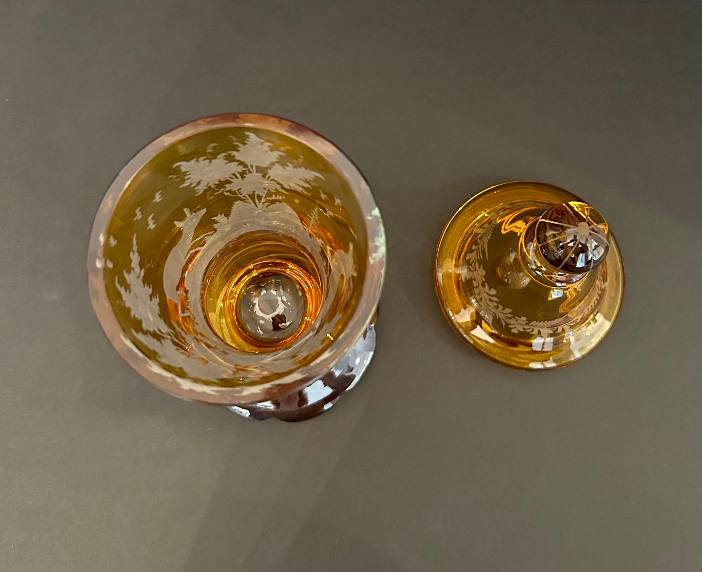 The Collective of Bohemian Amber Cut-To-Clear Crystal Glassware, 19e siècle en vente 1