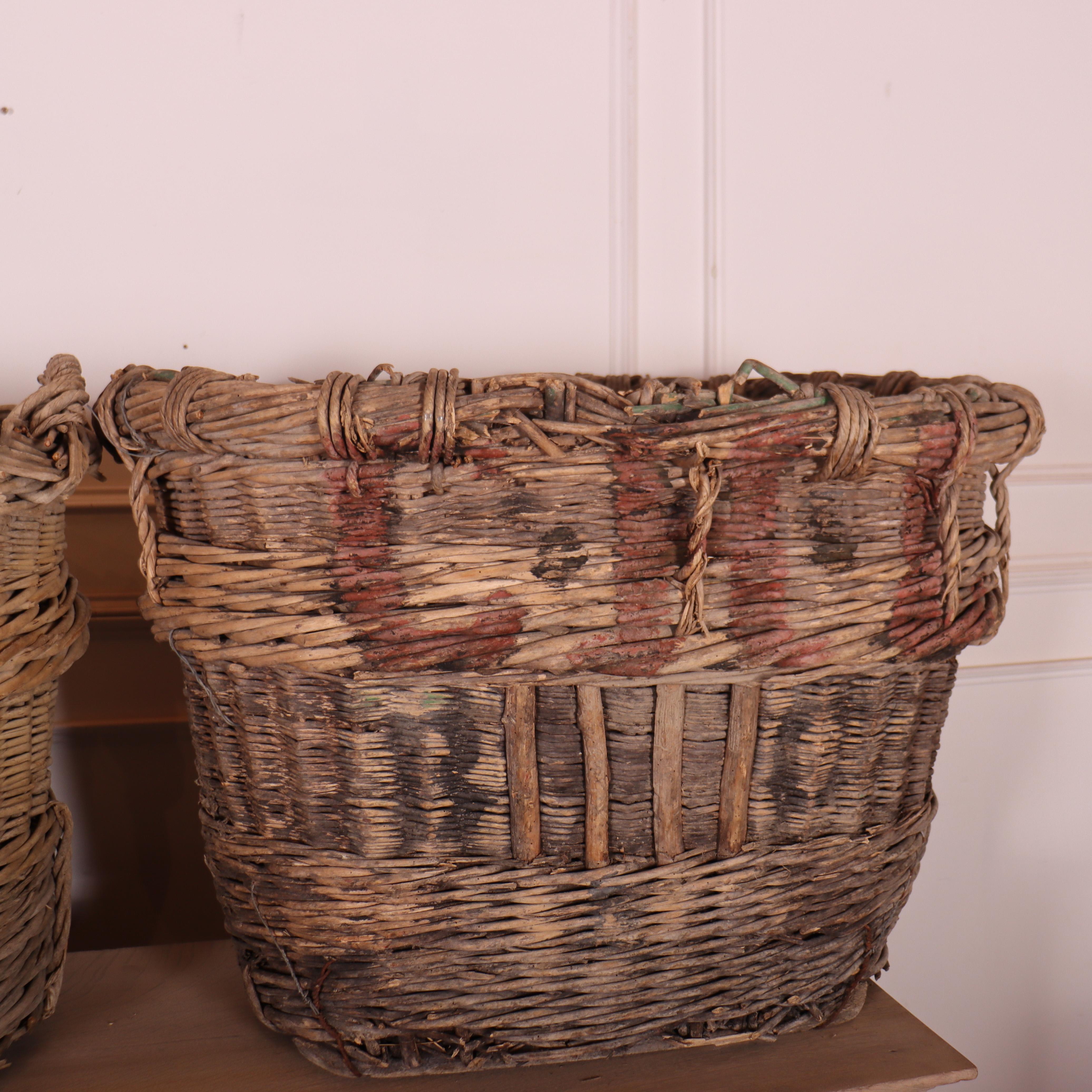 Collection of Champagne Grape Baskets For Sale 4