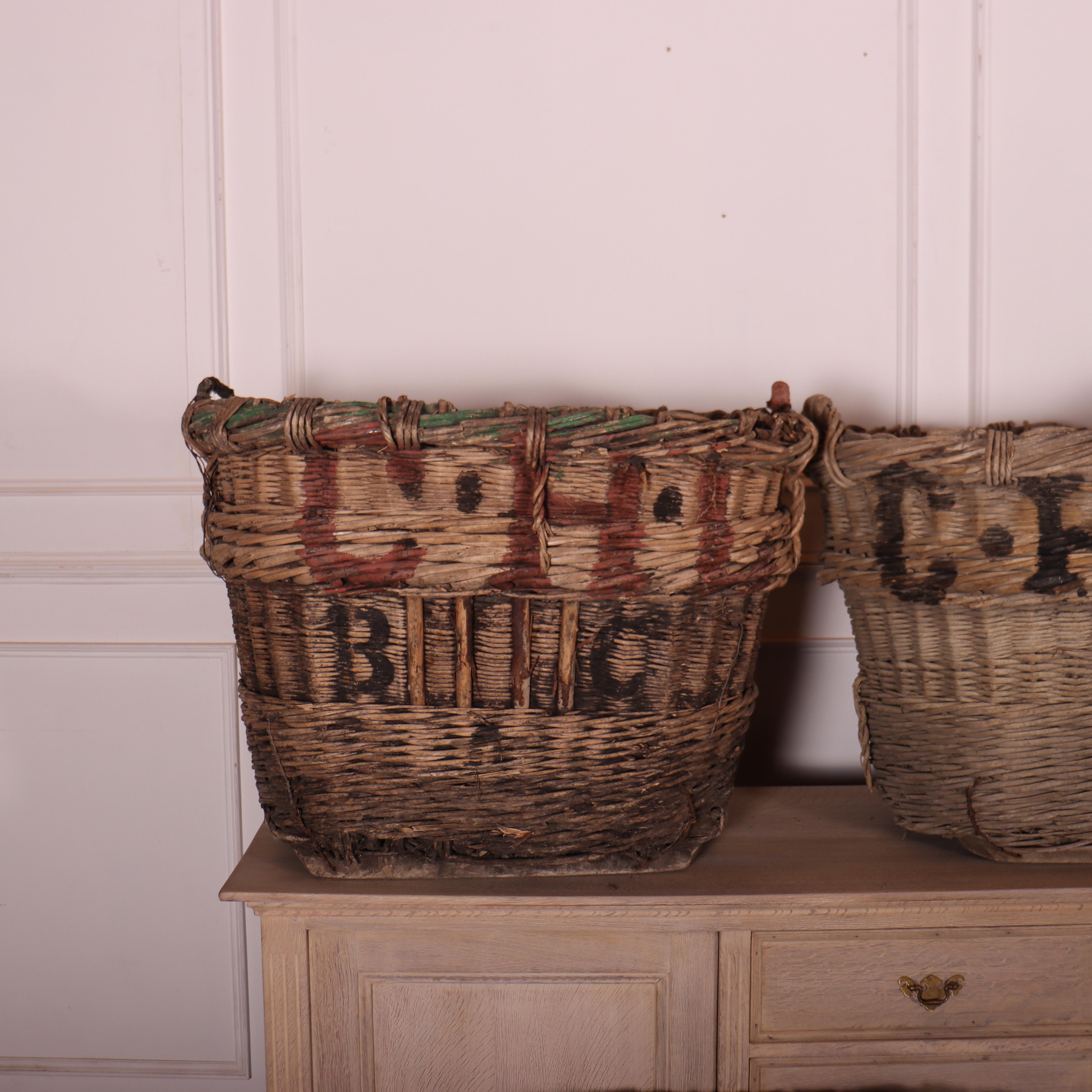 Collection of early 20th C champagne grape baskets. These would make great log baskets. 1920.

Dimenisons are taken of the largest basket

**These do have signs of use with wire repairs, missing handles etc - more images can be sent if