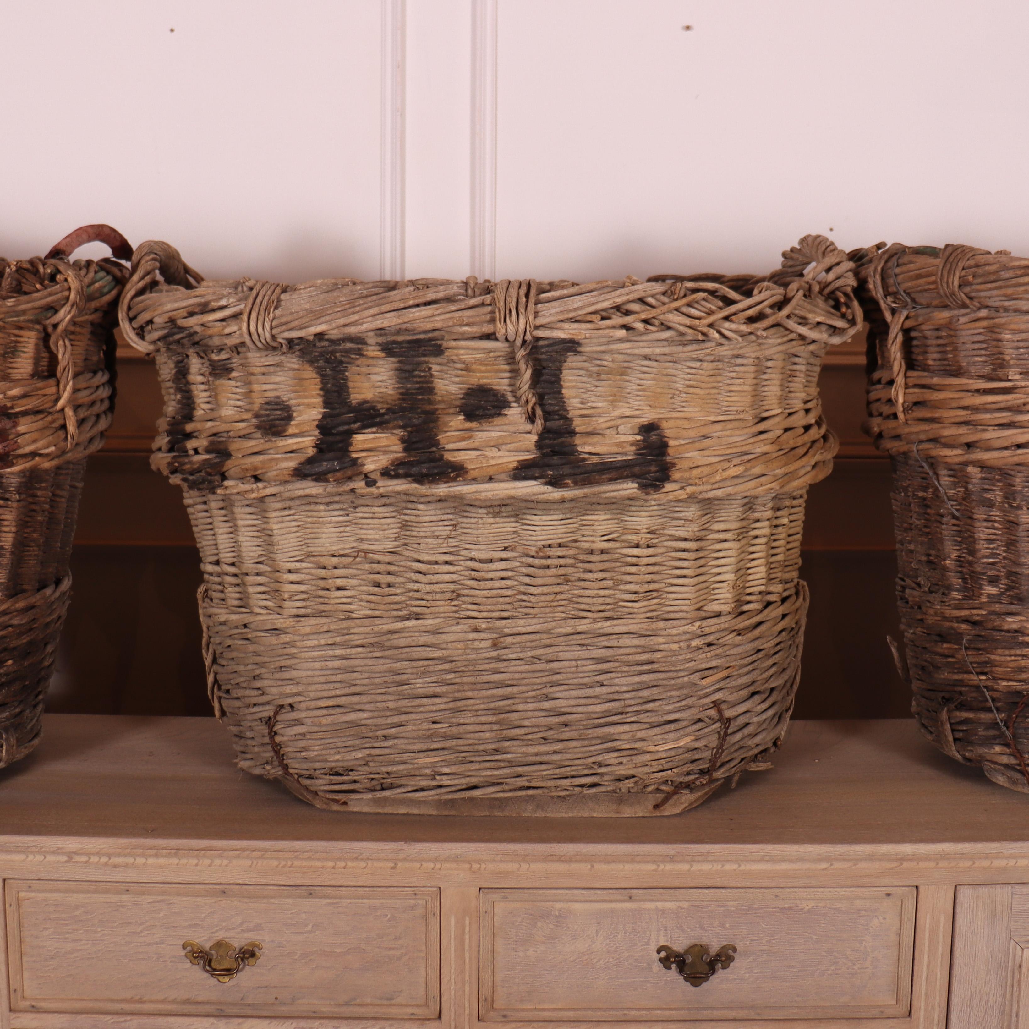 French Collection of Champagne Grape Baskets For Sale