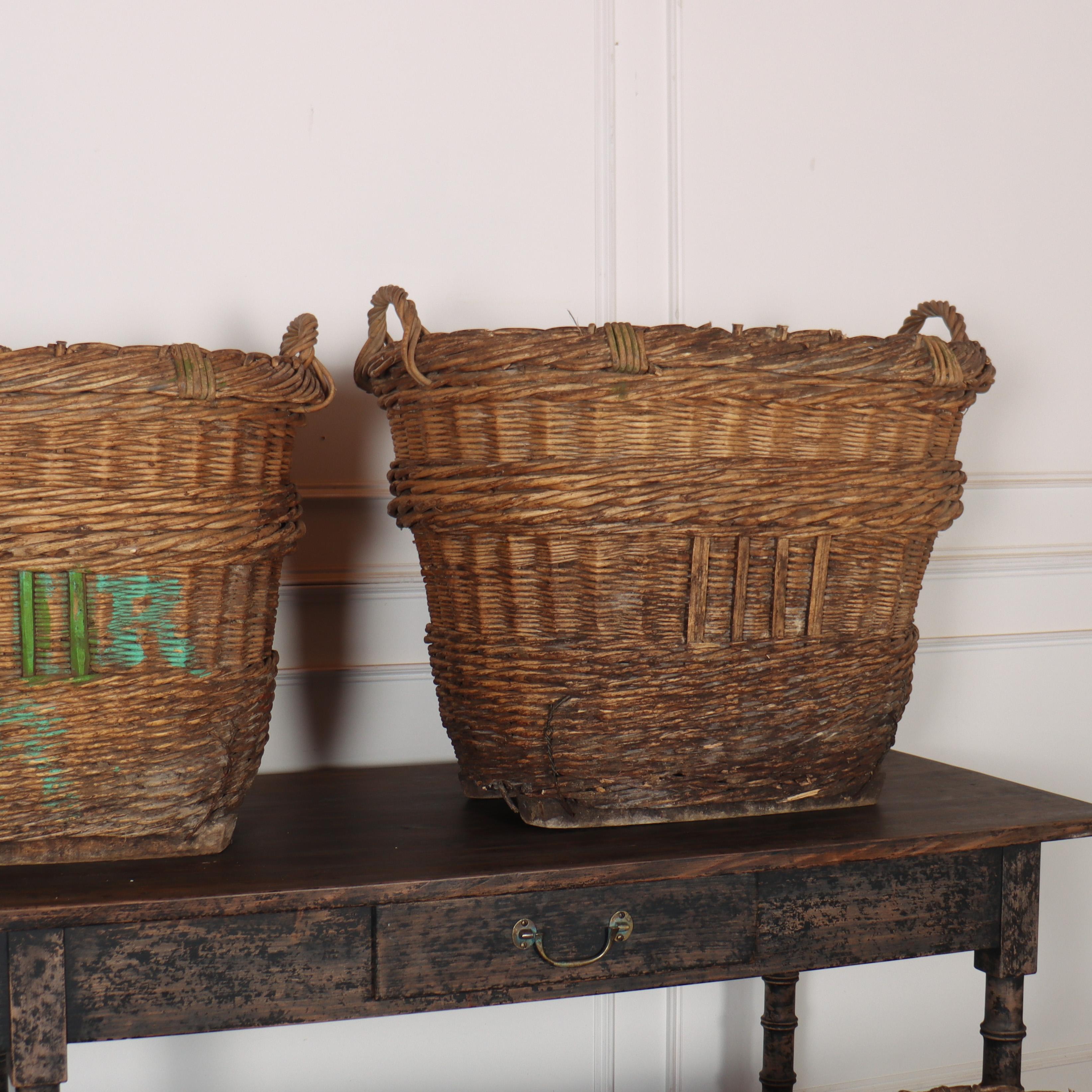 20th Century Collection of Champagne Grape Baskets For Sale