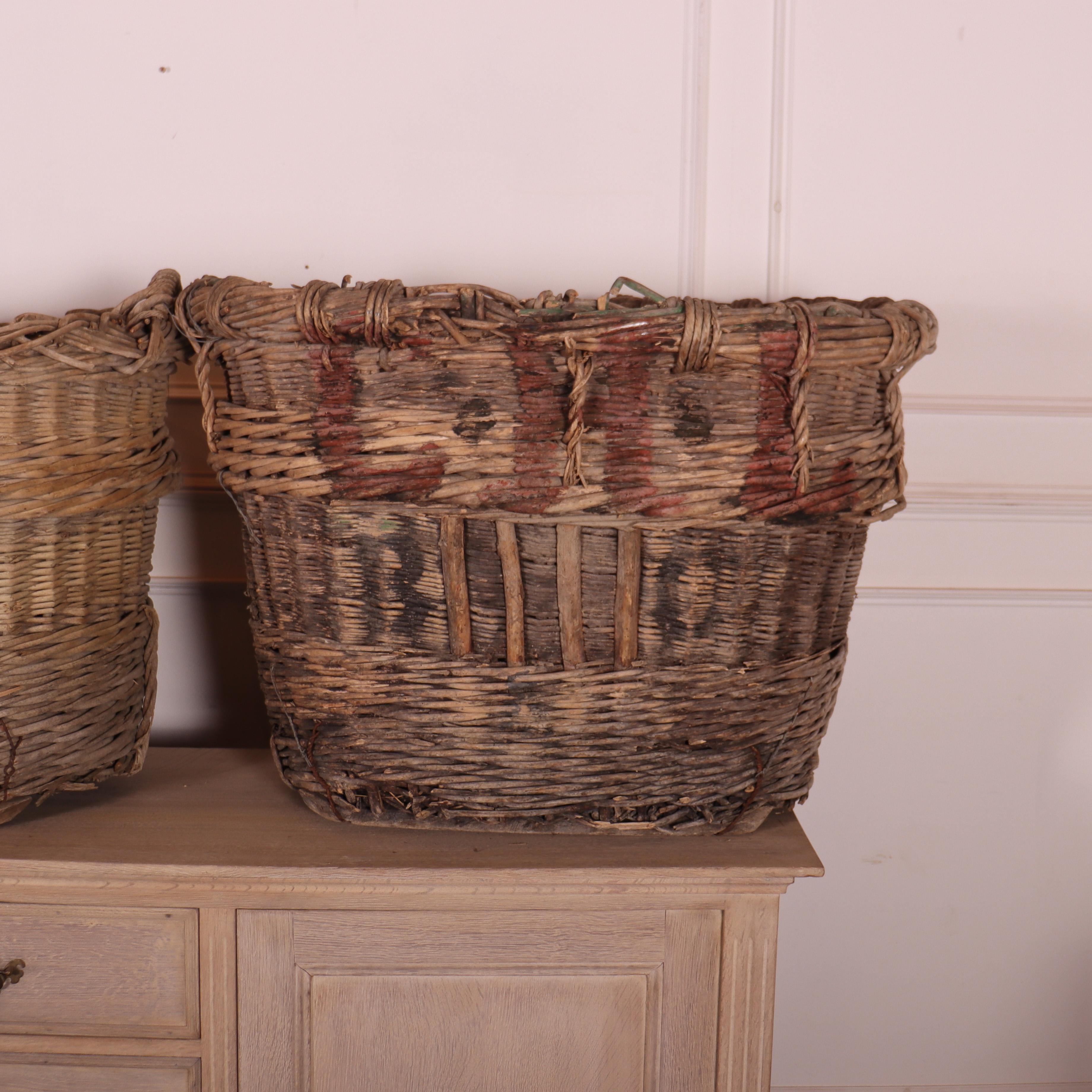 Collection of Champagne Grape Baskets In Fair Condition For Sale In Leamington Spa, Warwickshire