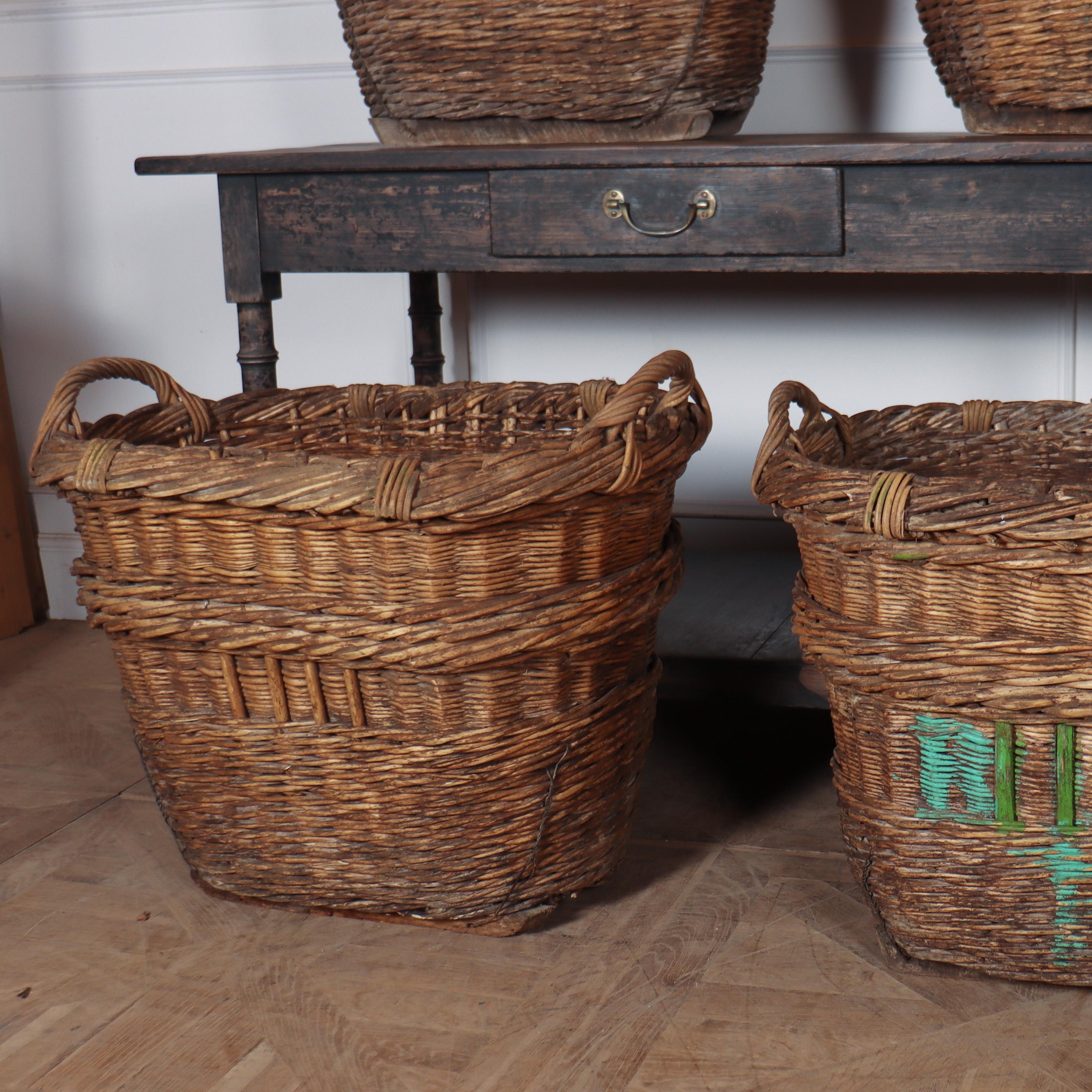 Wicker Collection of Champagne Grape Baskets For Sale