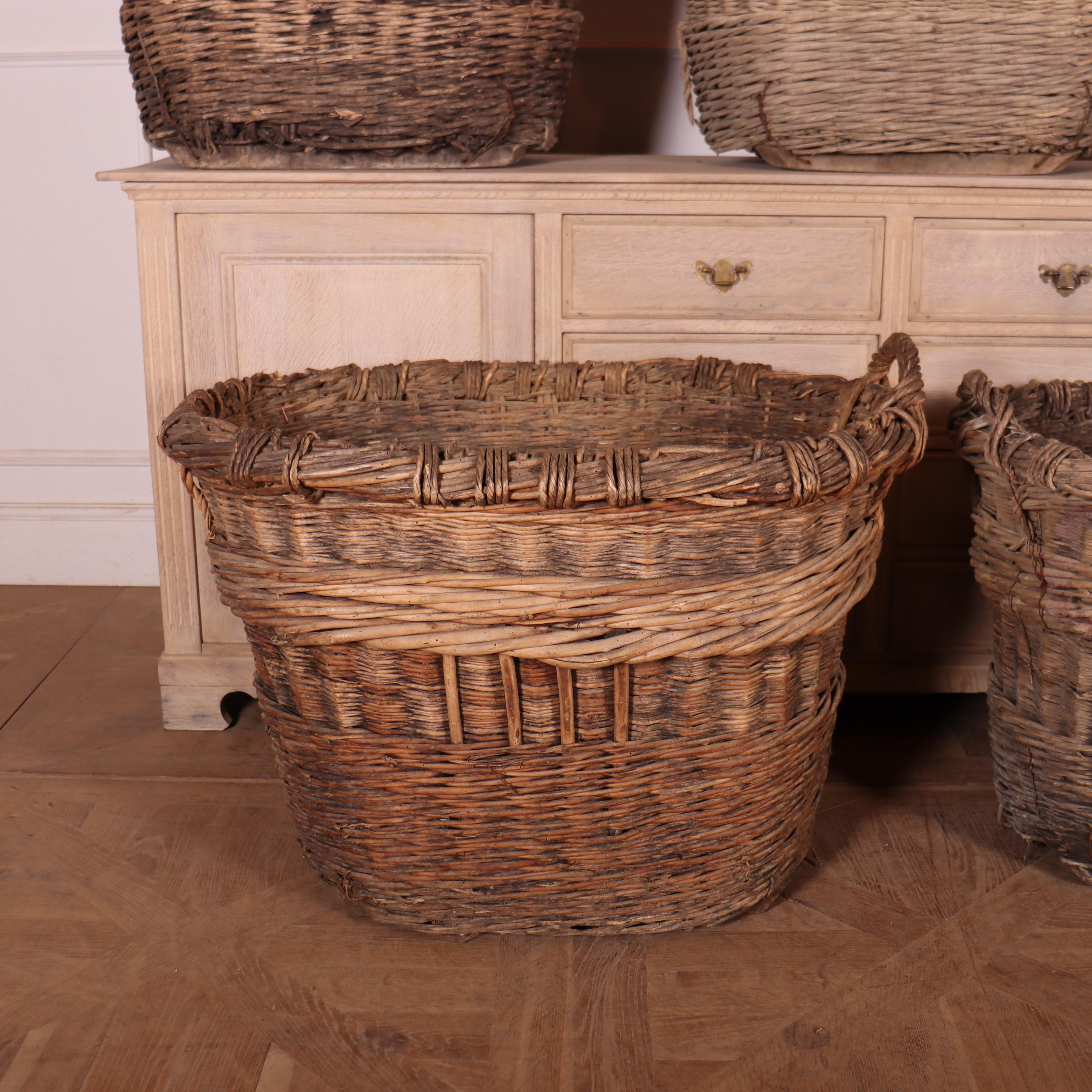 Wicker Collection of Champagne Grape Baskets For Sale