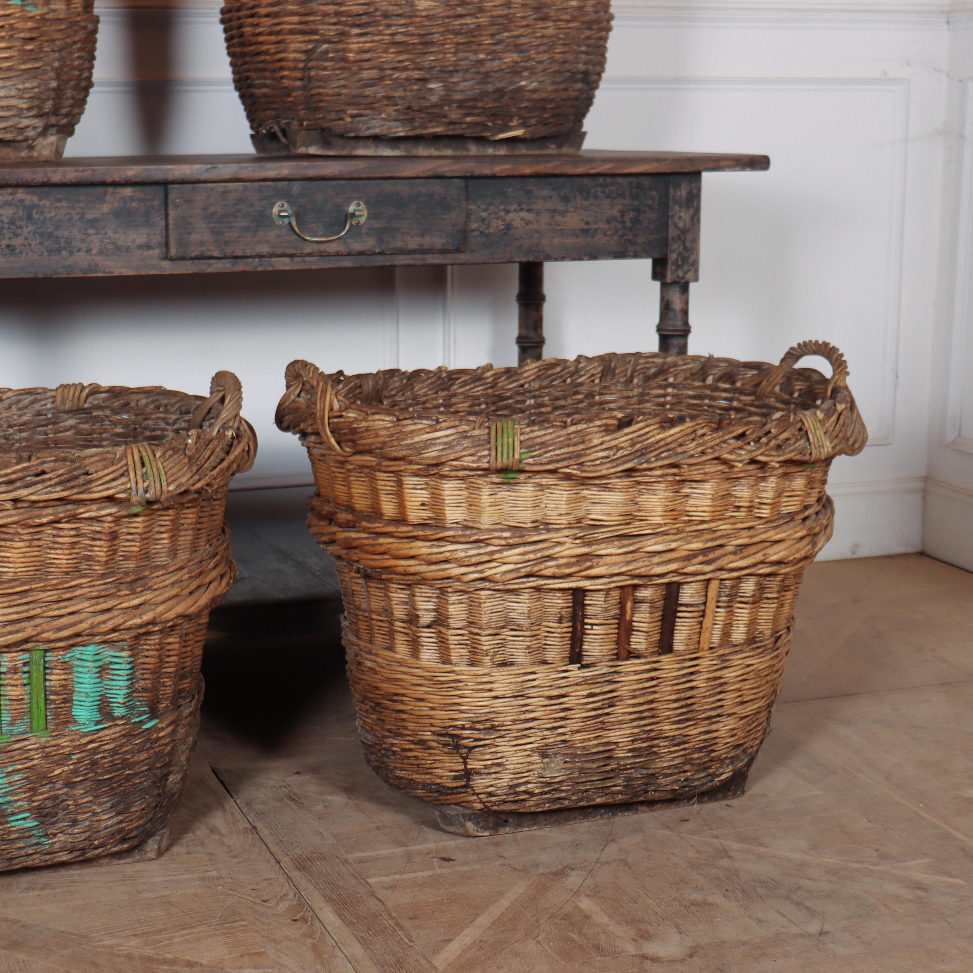 Collection of Champagne Grape Baskets For Sale 2