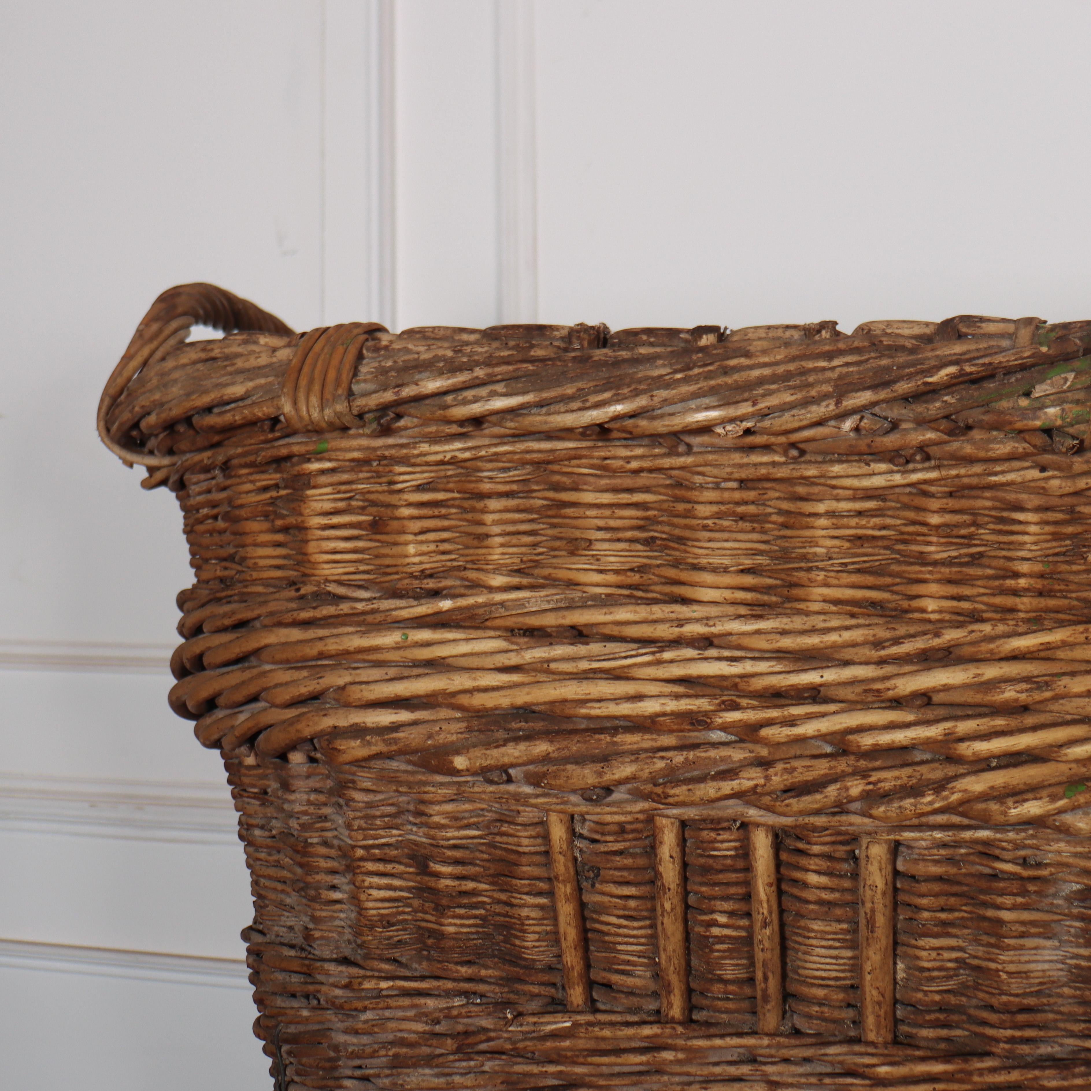 Collection of Champagne Grape Baskets For Sale 3