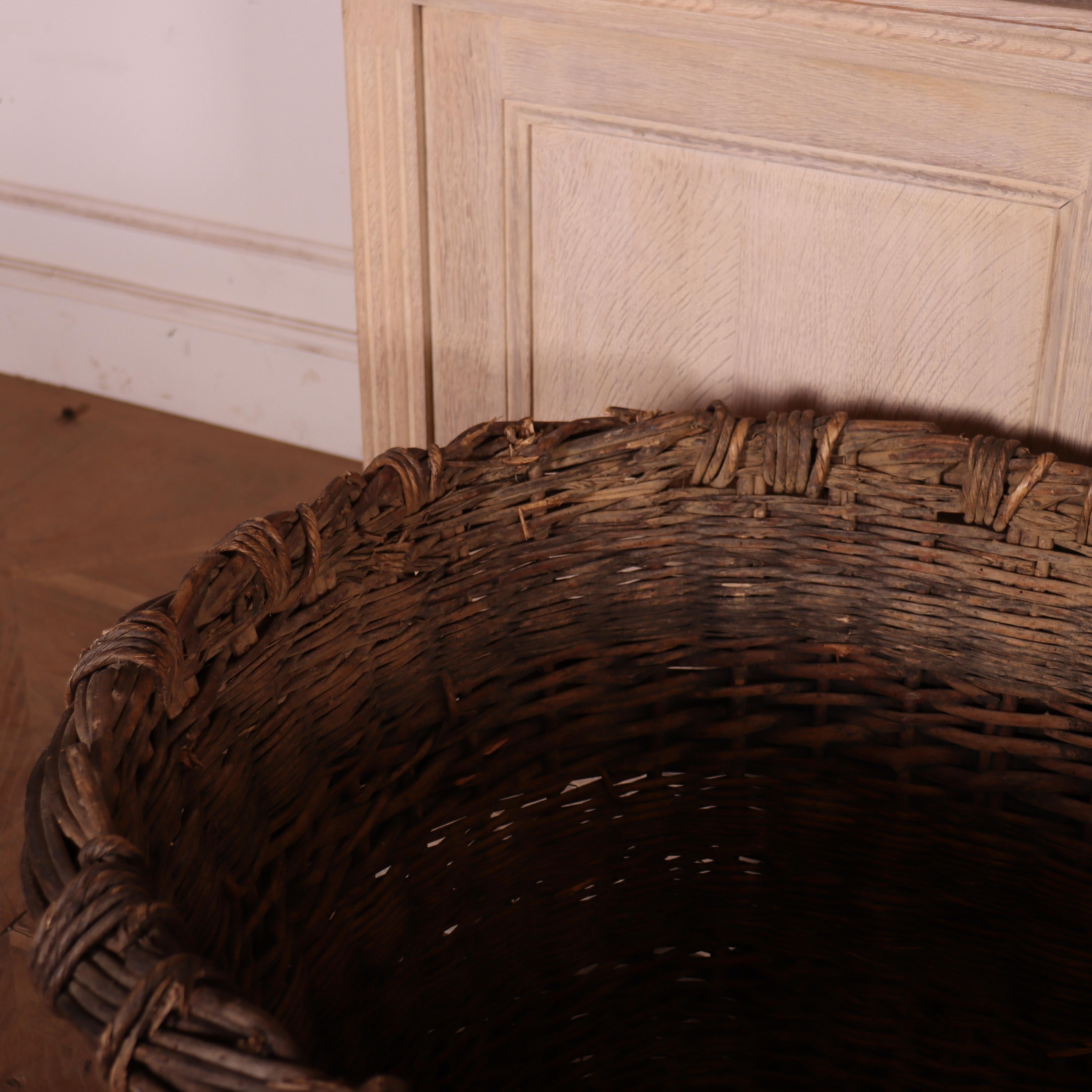 Collection of Champagne Grape Baskets For Sale 2