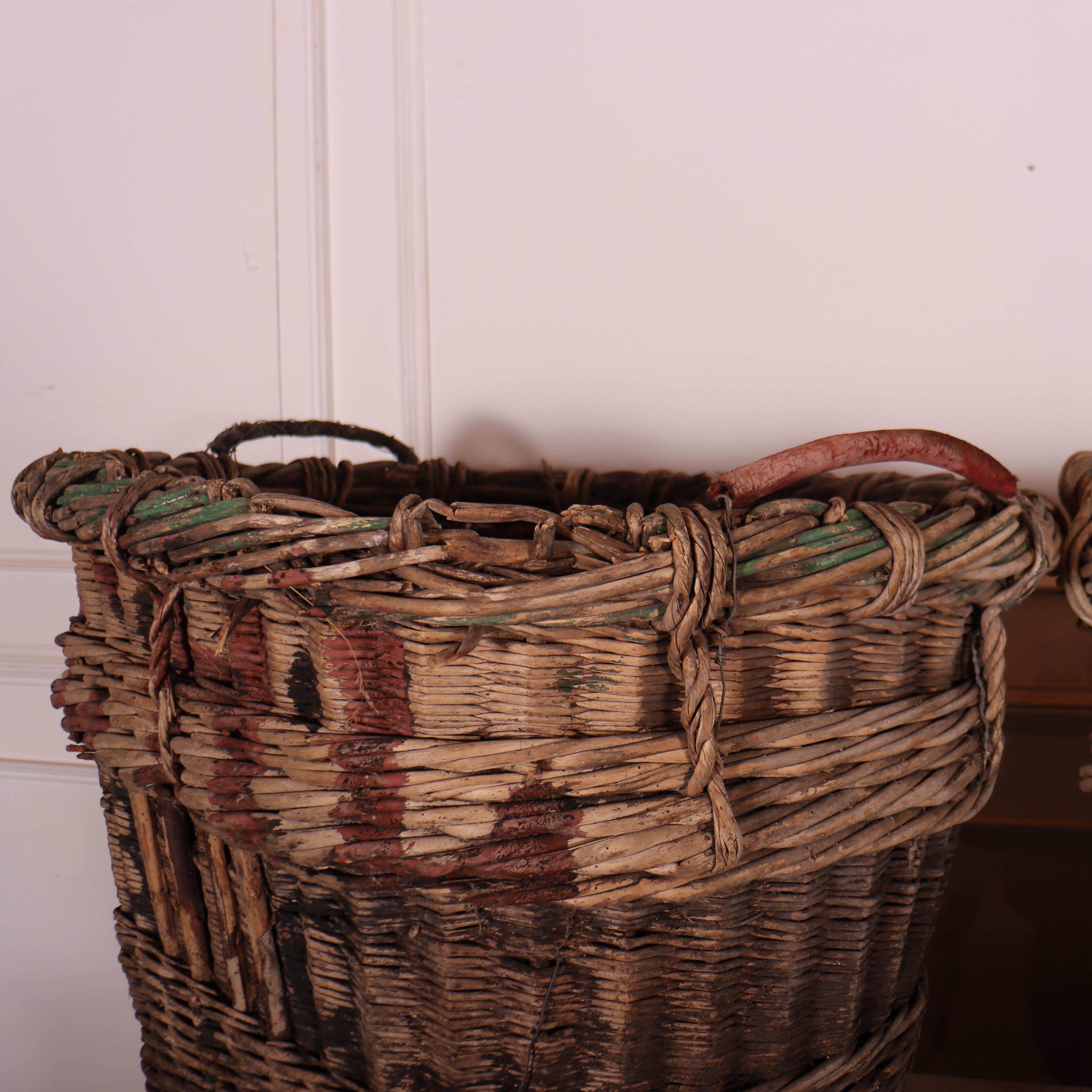 Collection of Champagne Grape Baskets For Sale 3