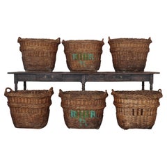 Vintage Collection of Champagne Grape Baskets