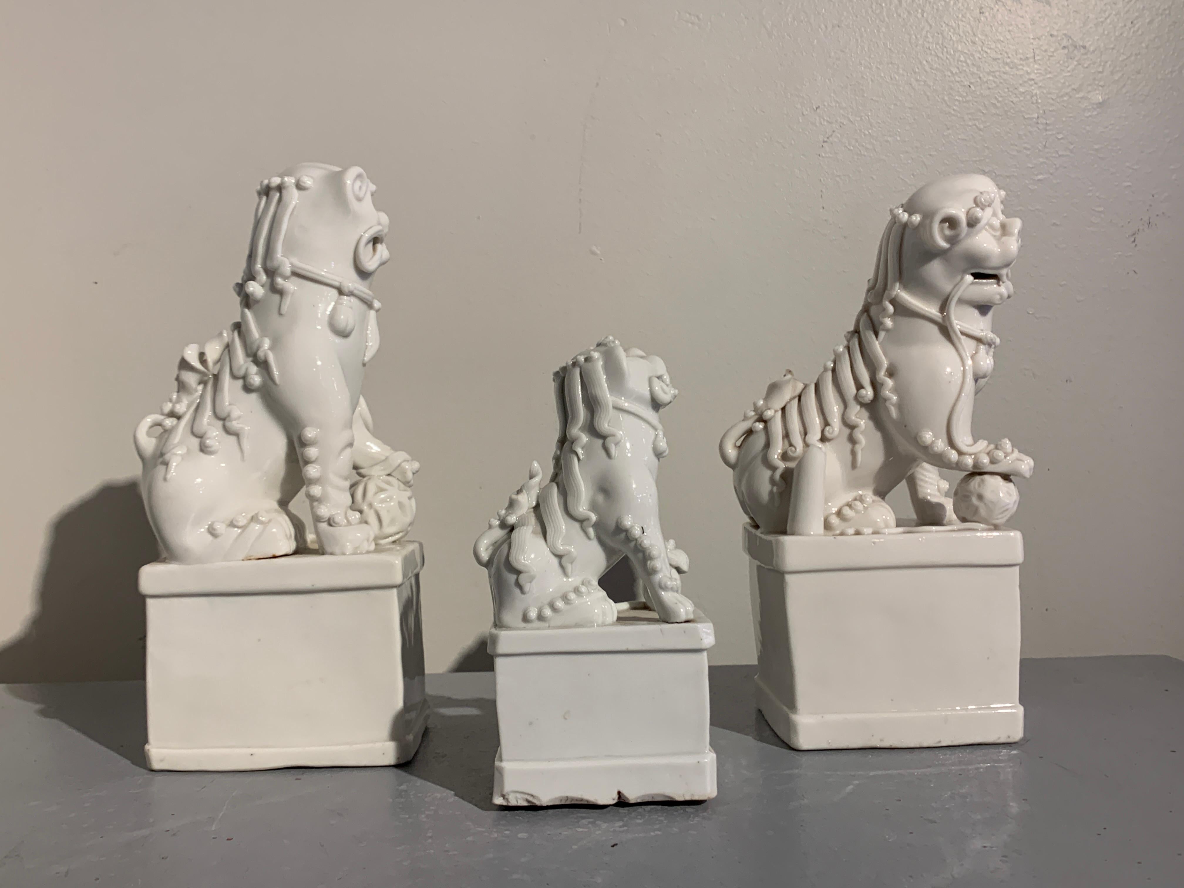 Collection of Chinese Blanc de Chine Foo Dogs, 17th-19th Century, China For Sale 5