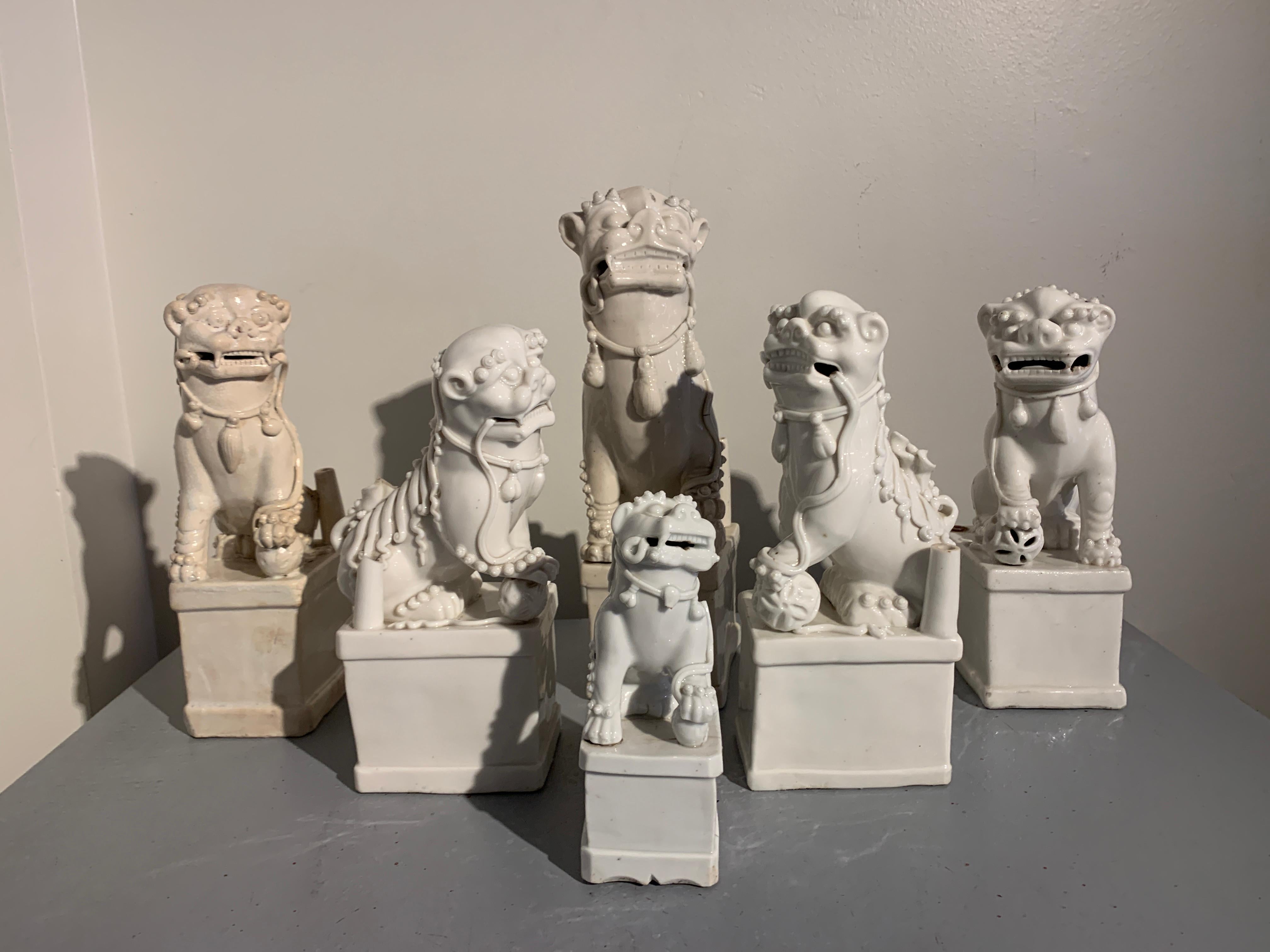 Ensemble absolument magnifique de porte-bougies en porcelaine Blanc de Chine à décor de lion bouddhiste (foo lion, foo dog), dynastie Qing, fin 17e - fin 19e siècles, Chine.

Cette meute de foo dogs assemblés est merveilleusement charmante et