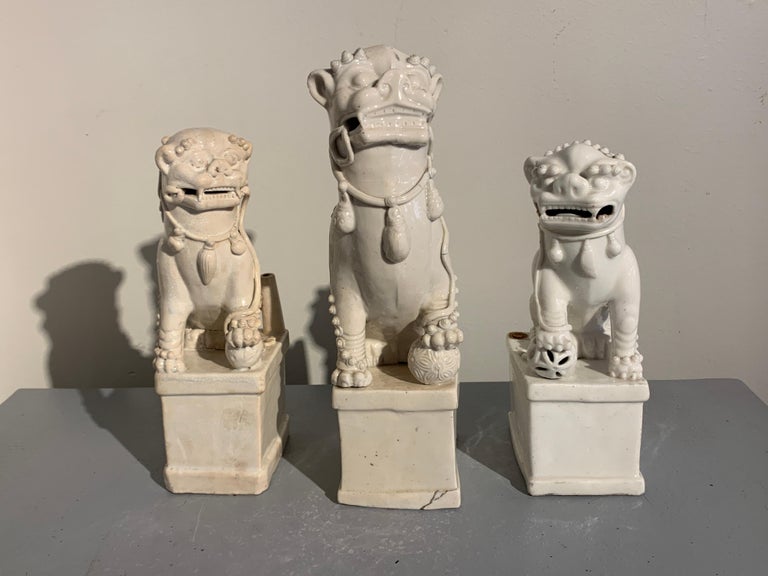 Qing Collection of Chinese Blanc de Chine Foo Dogs, 17th-19th Century, China For Sale
