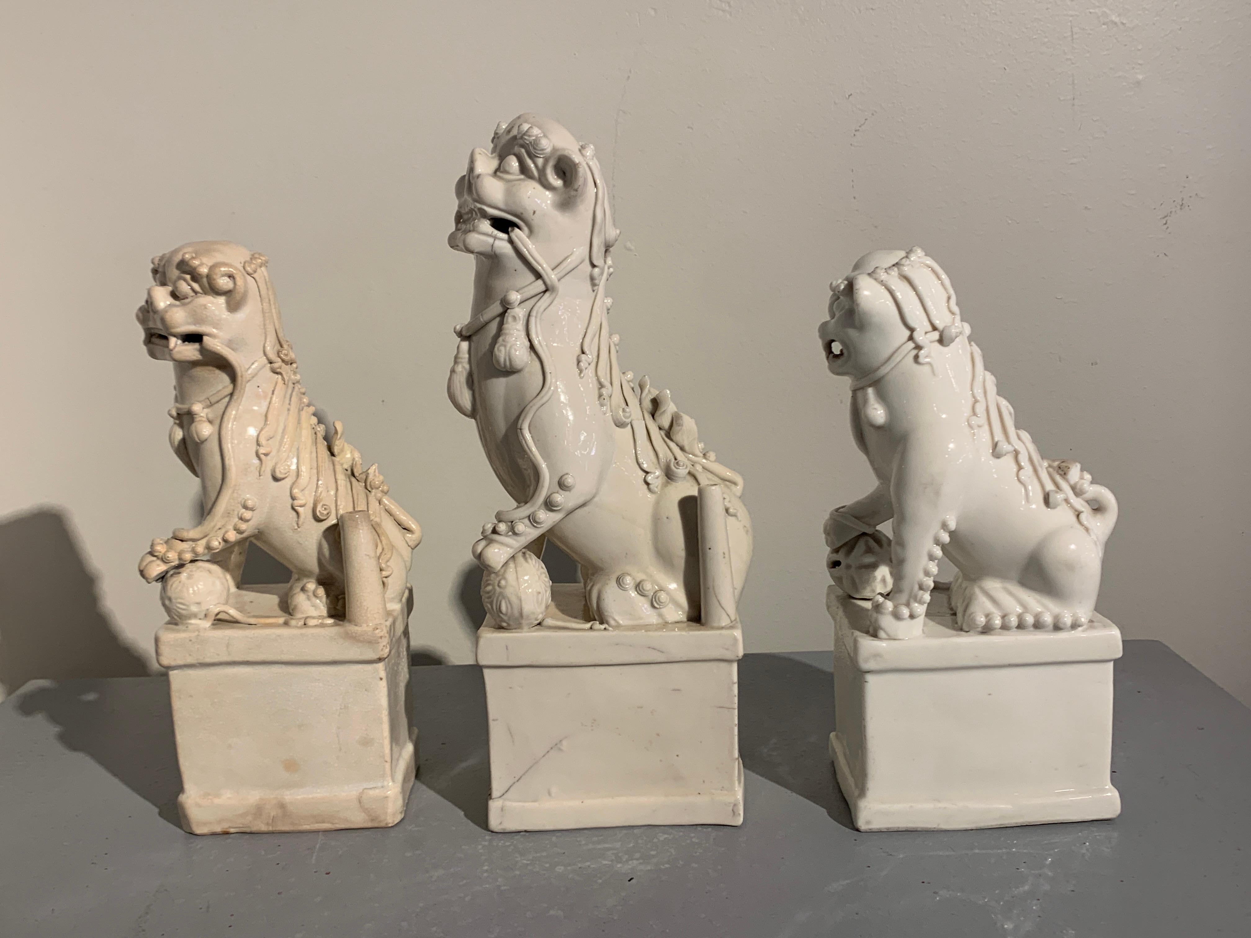 Glazed Collection of Chinese Blanc de Chine Foo Dogs, 17th-19th Century, China For Sale