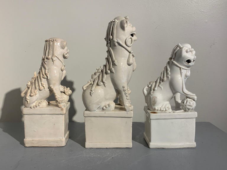 Porcelain Collection of Chinese Blanc de Chine Foo Dogs, 17th-19th Century, China For Sale
