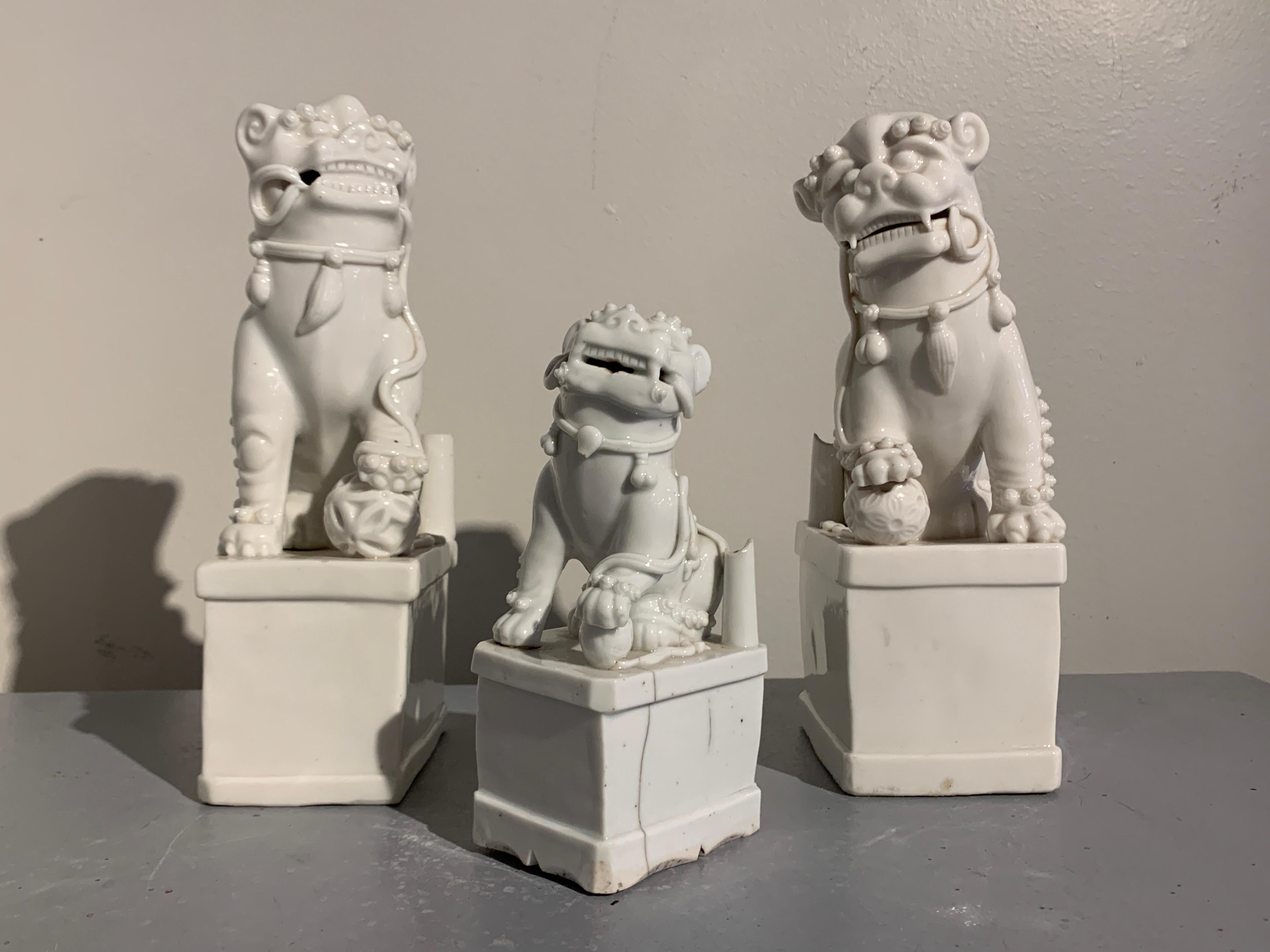 Collection of Chinese Blanc de Chine Foo Dogs, 17th-19th Century, China For Sale 2