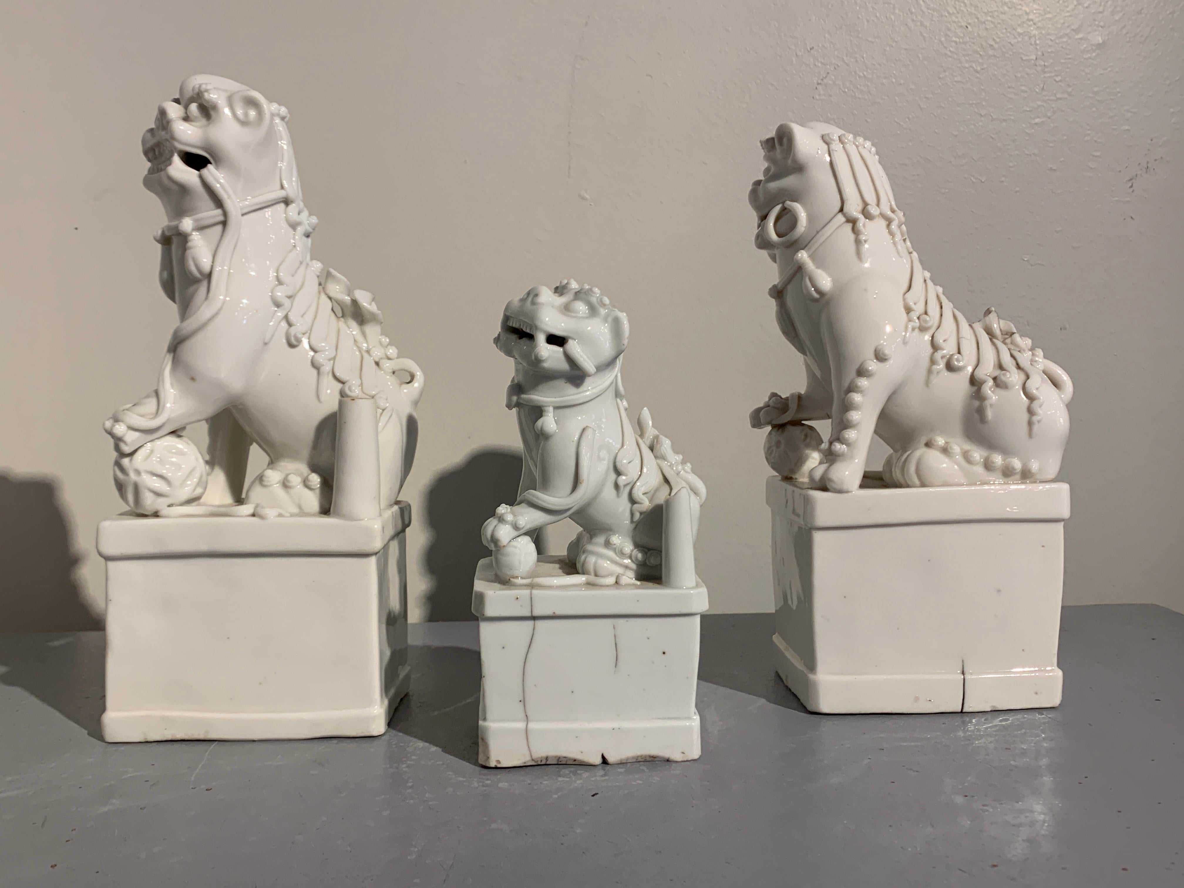 Collection of Chinese Blanc de Chine Foo Dogs, 17th-19th Century, China For Sale 3