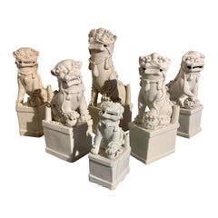 Collection de chiens Foo chinois Blanc de Chine, 17e-19e siècle, Chine