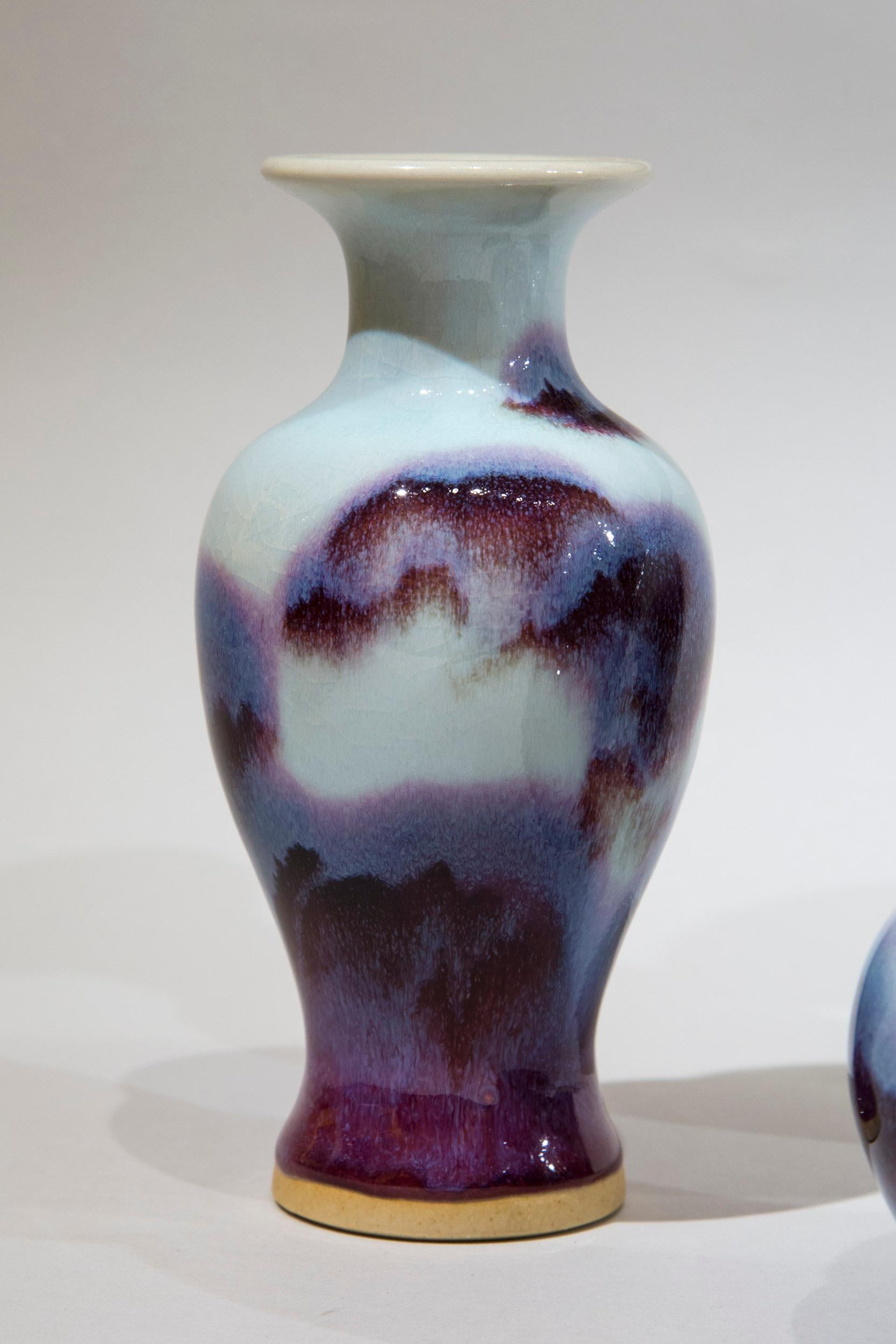 Collection of Nine Chinese Porcelain Glazed Vases 6