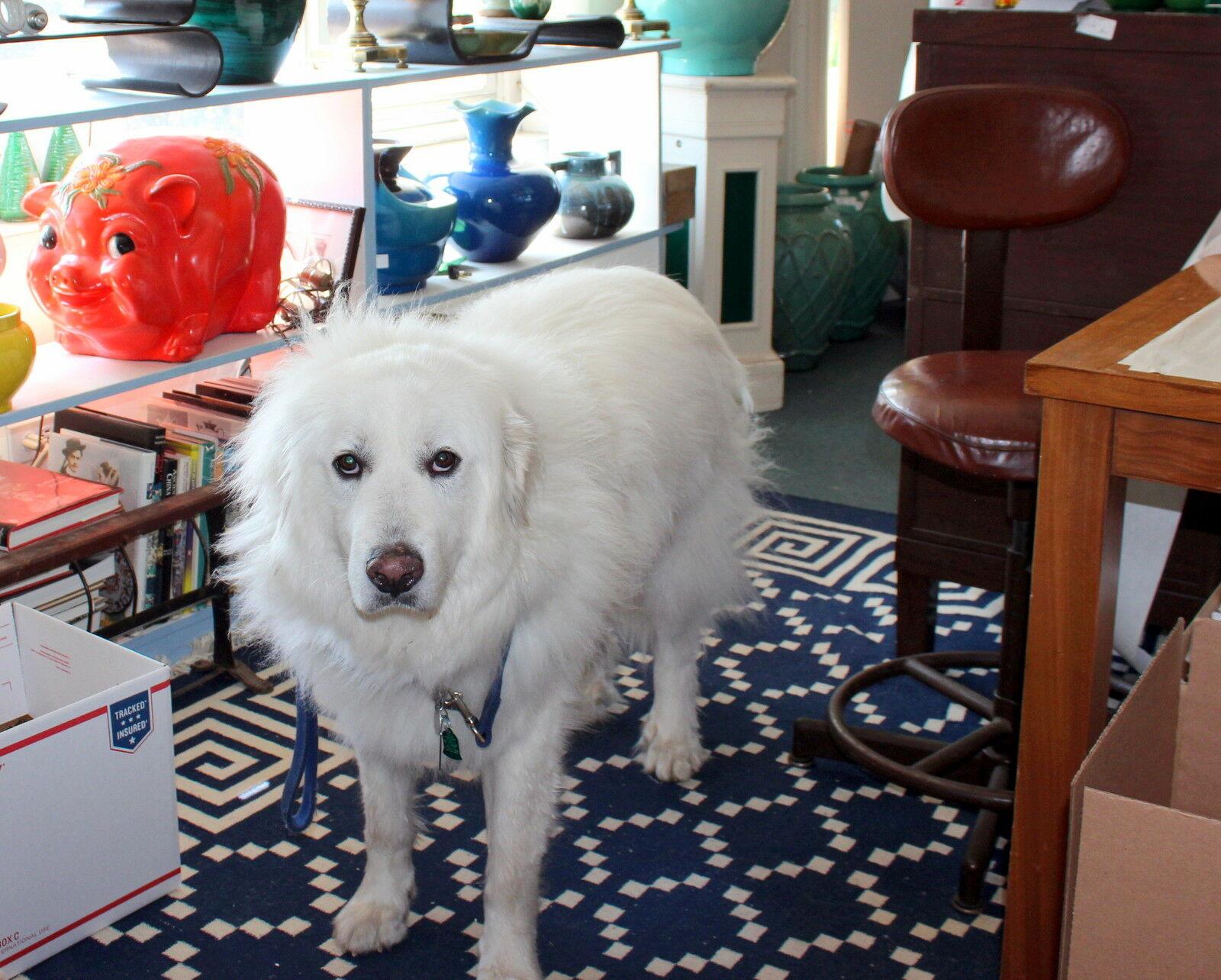 Collection'S di vasi colorati in Awaji Pottery in vendita 2
