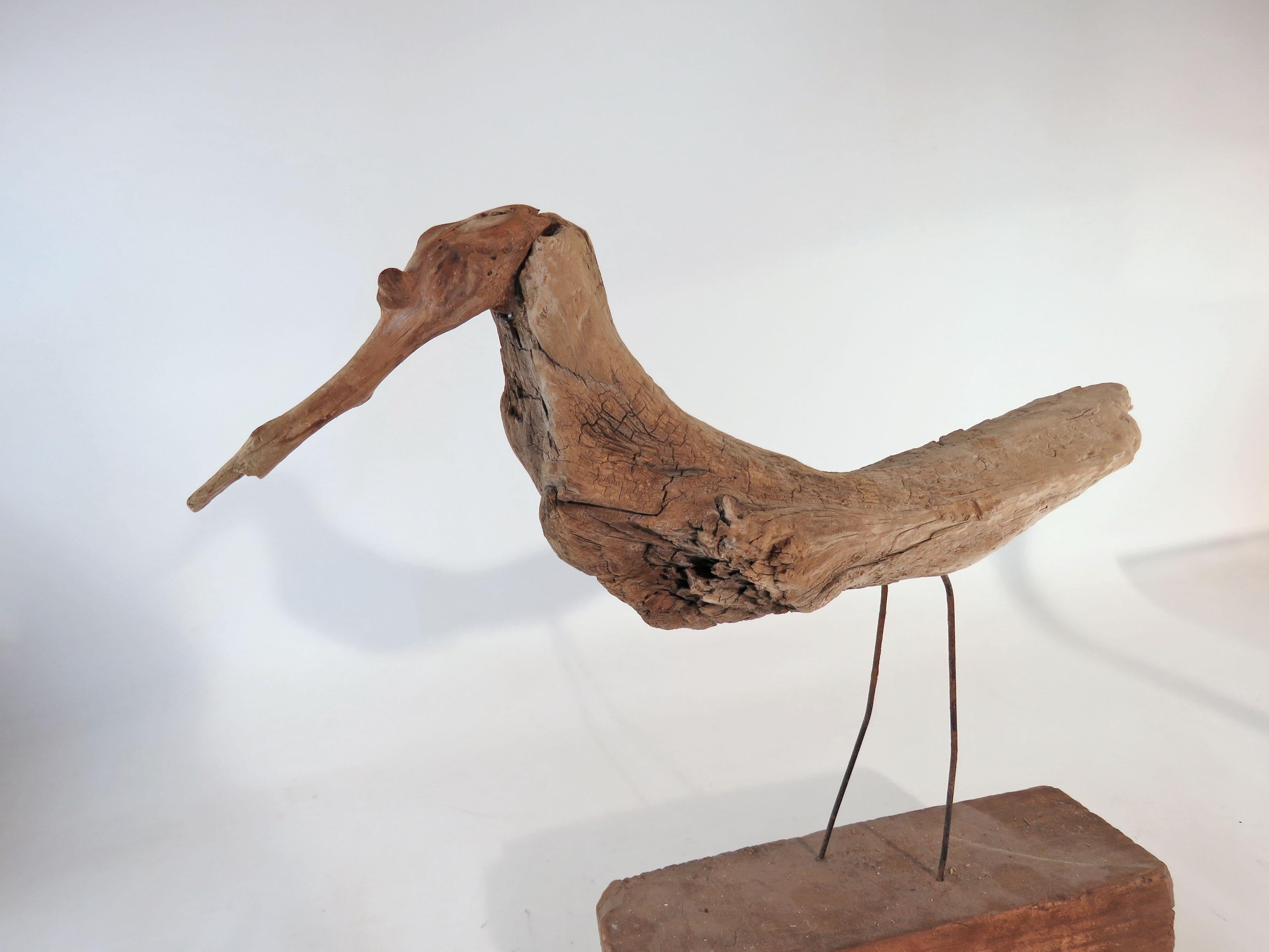 American Collection of Driftwood Shore Bird Sculptures, Gloucester, MA, circa 1960s-1970s