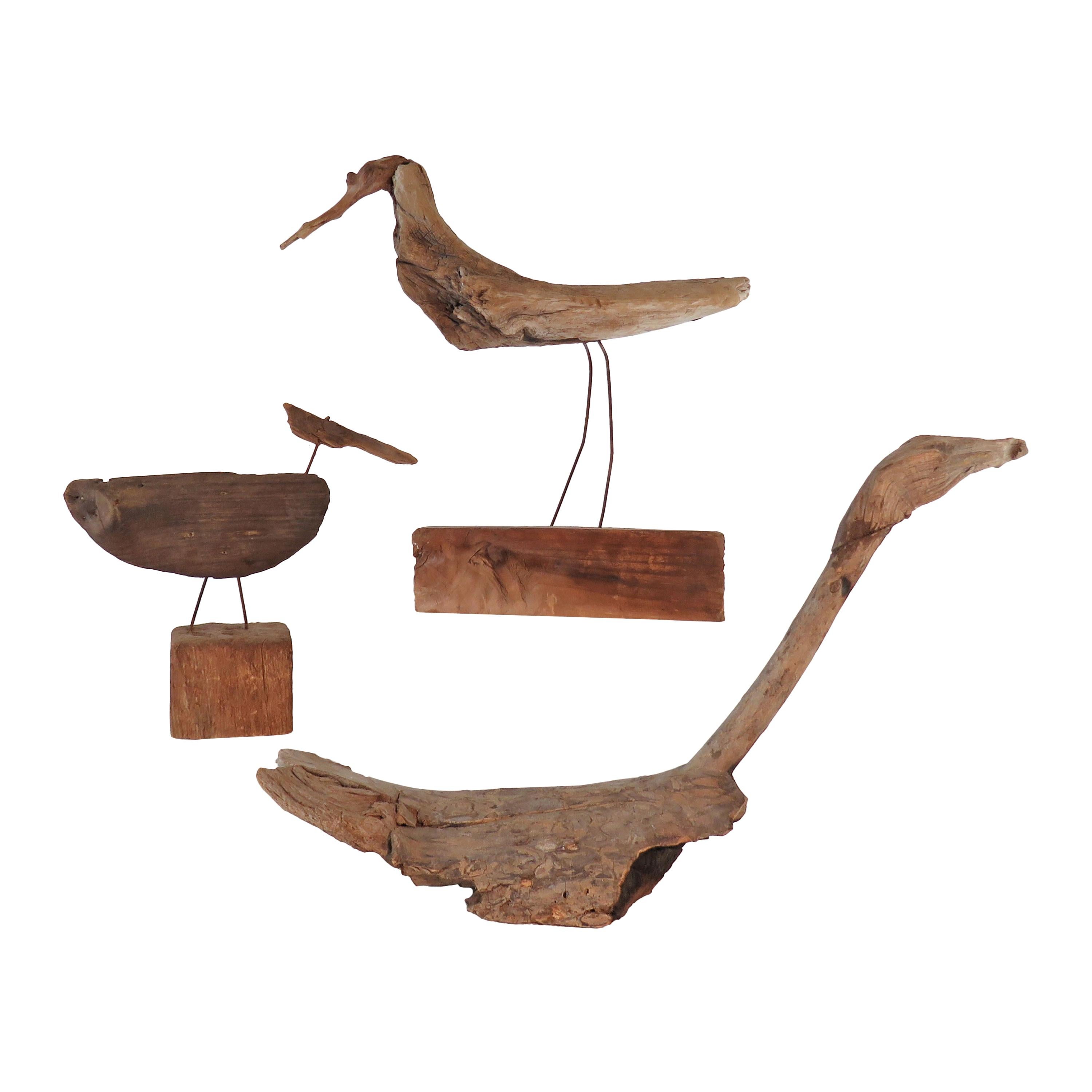 Collection of Driftwood Shore Bird Sculptures, Gloucester, MA, circa 1960s-1970s
