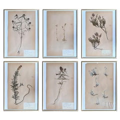 Dekorative viktorianische Kunst