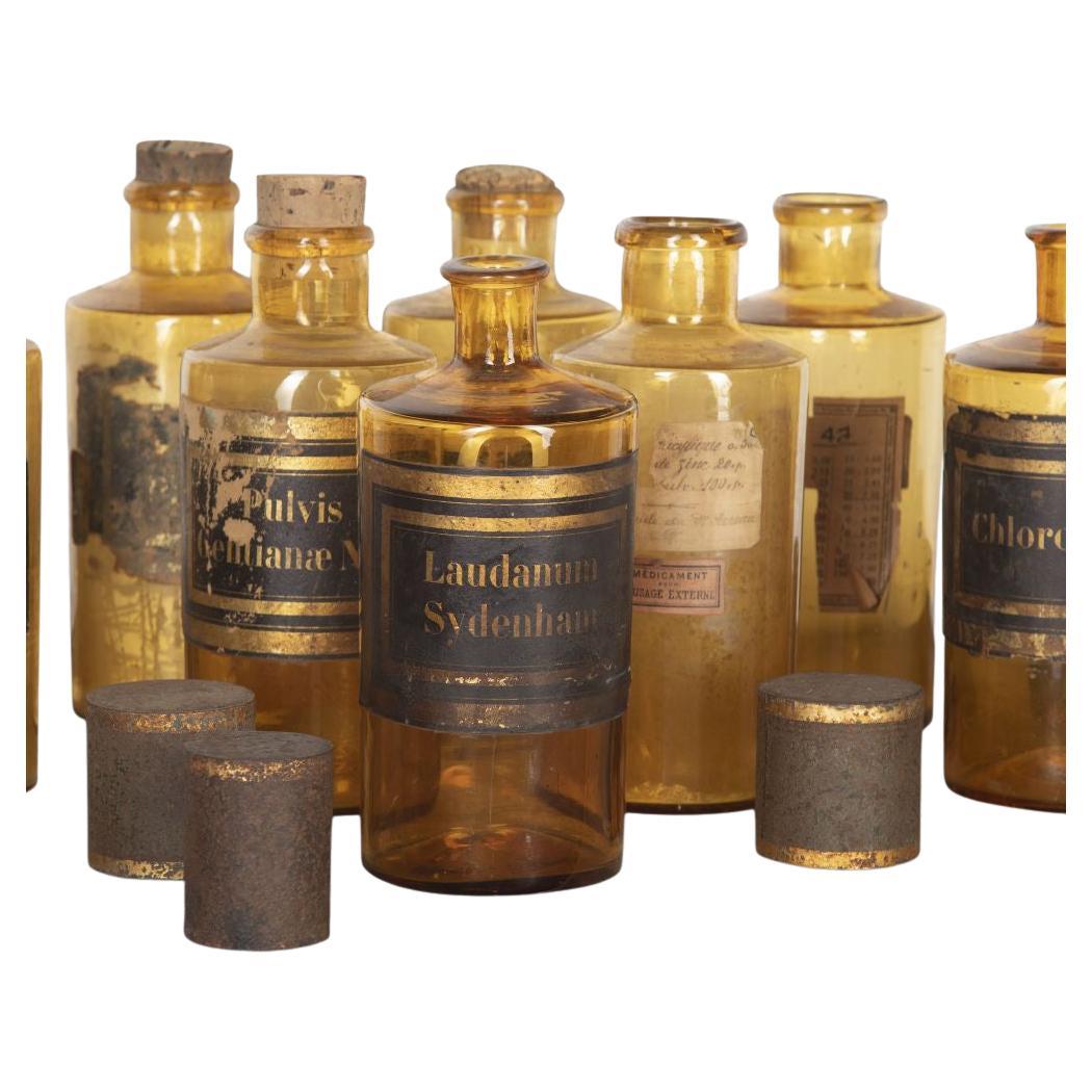 Collection of Eight 19th Century Apothecary Jars