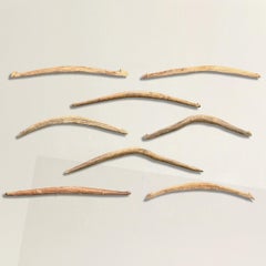 Collection of Eight 19th/Early 20th Century Hog Gambrels on Custom Wall Mounts