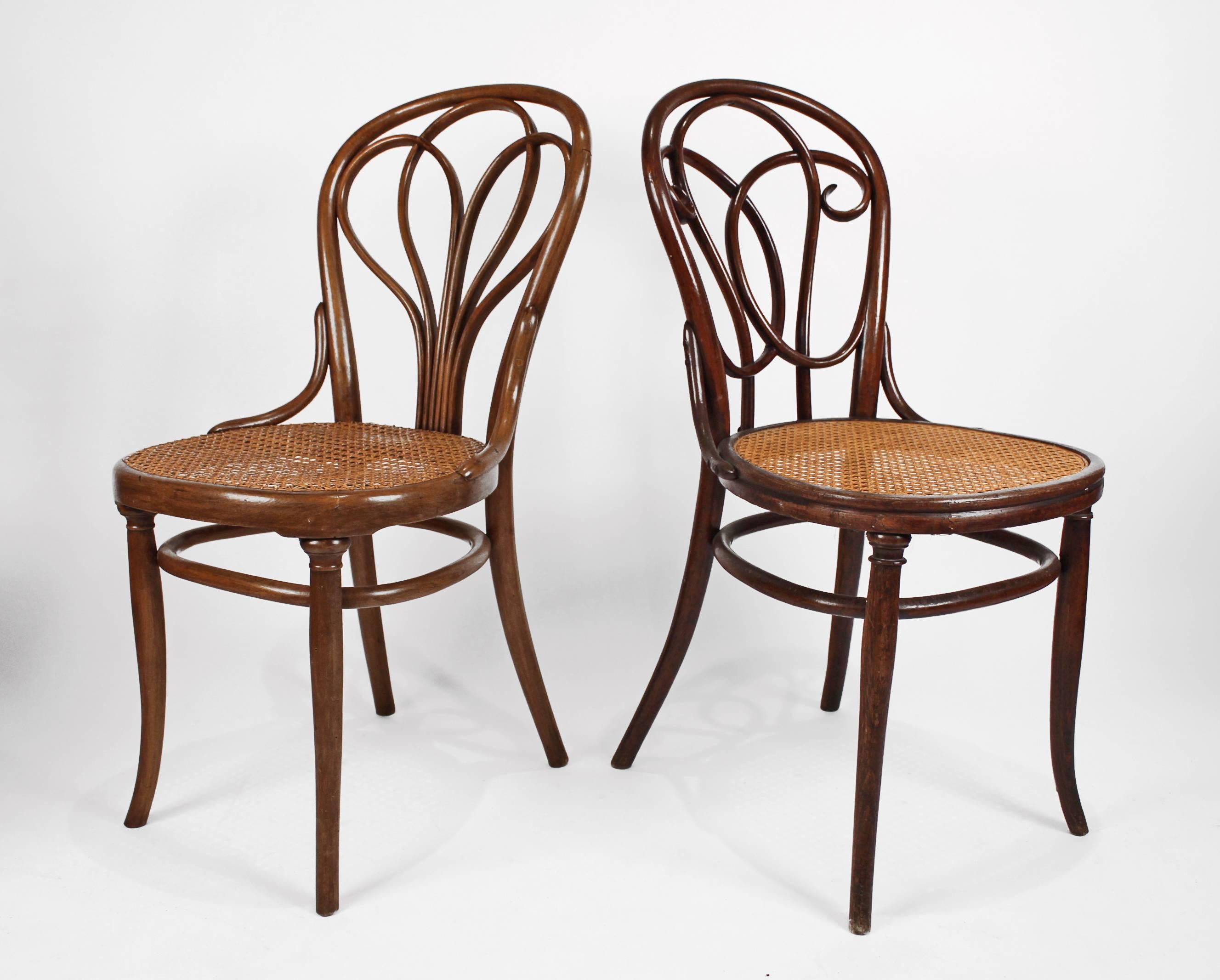 Austrian Collection of Eight Viennese Secessionist Dining Chairs Thonet, Mundus, J&J Kohn