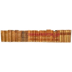 Collection de livres européens du XIXe siècle reliés en cuir