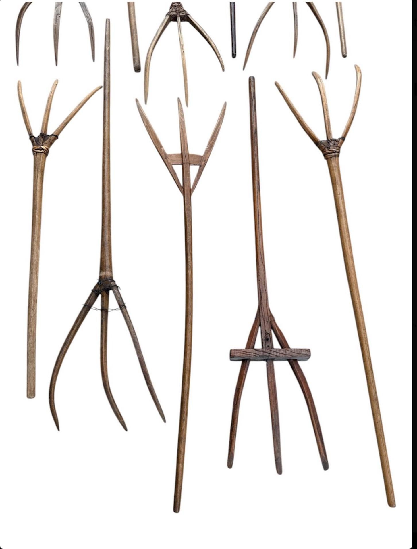 Arte popolare Collection'S di forchette da fieno primitive in legno di pino europeo in vendita