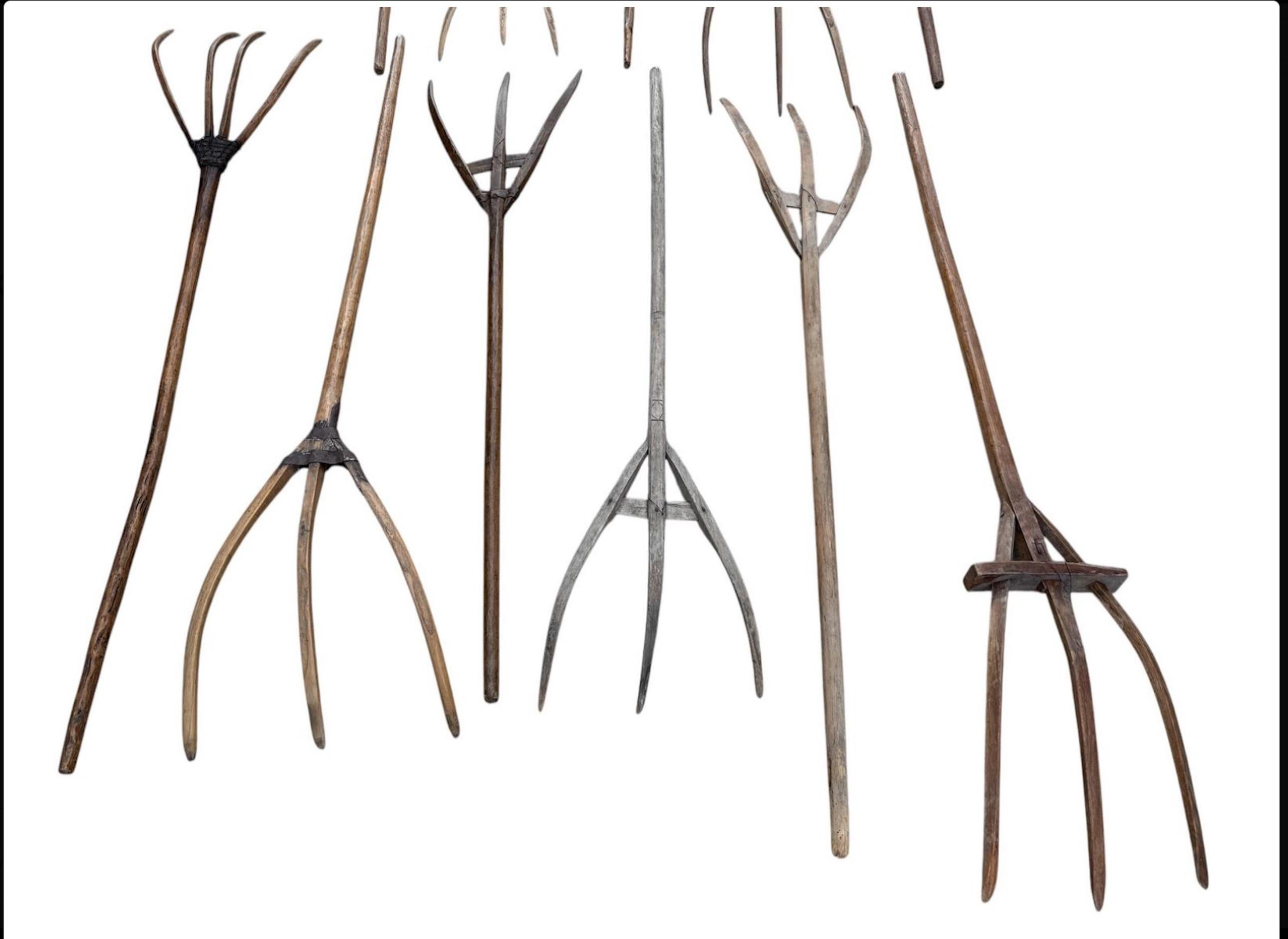 XVIII secolo Collection'S di forchette da fieno primitive in legno di pino europeo in vendita