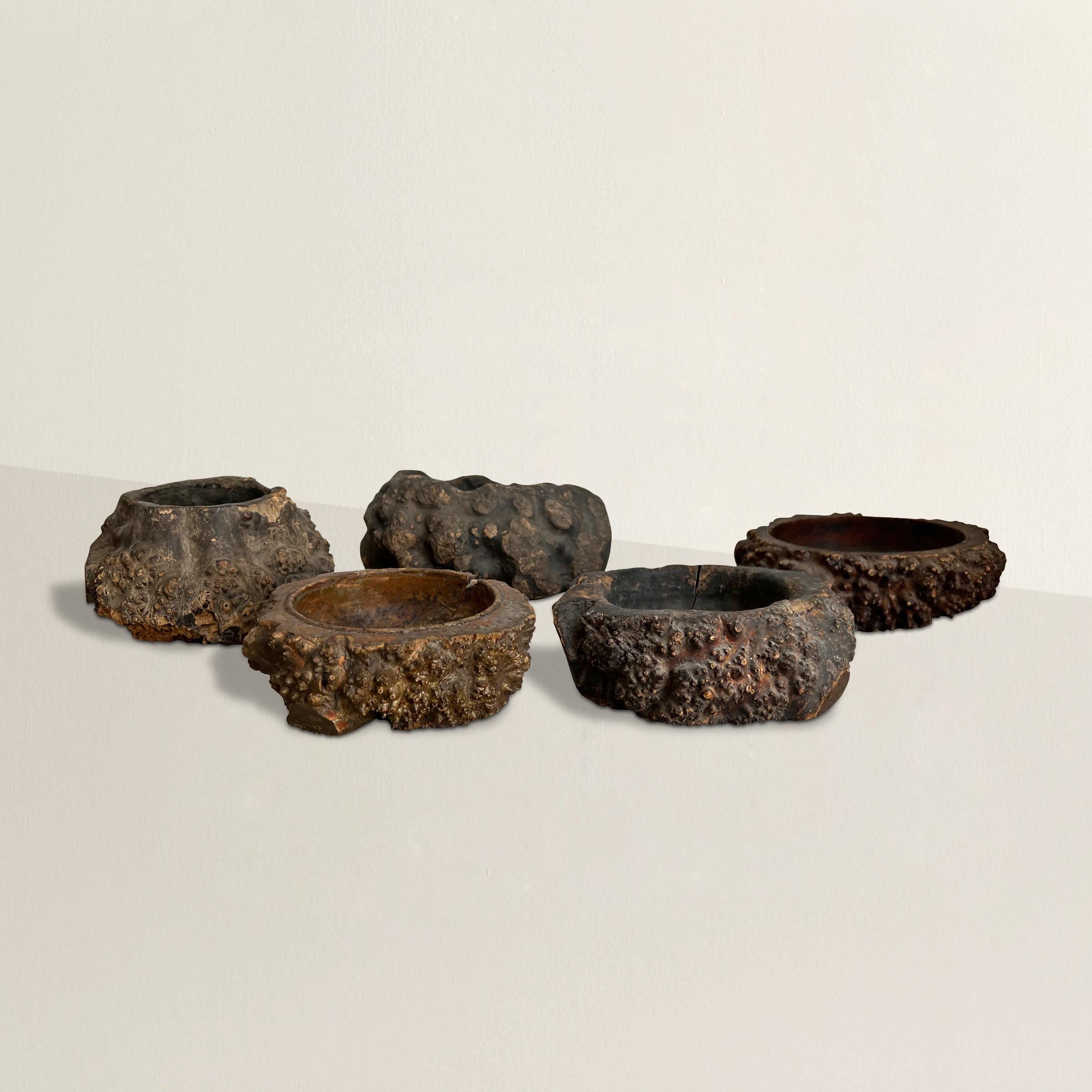 Eine bemerkenswerte und seltene Sammlung von fünf chinesischen Wabi-Sabi-Bürstenscheiben aus Wurzelholz des 19. Jahrhunderts, die jeweils aus dem Wurzelballen einer Bambuspflanze geschnitzt sind. Pinselwaschmaschinen wurden ursprünglich von