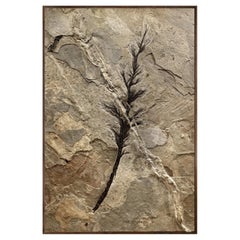 Collection of Five Green River Fossil Murals