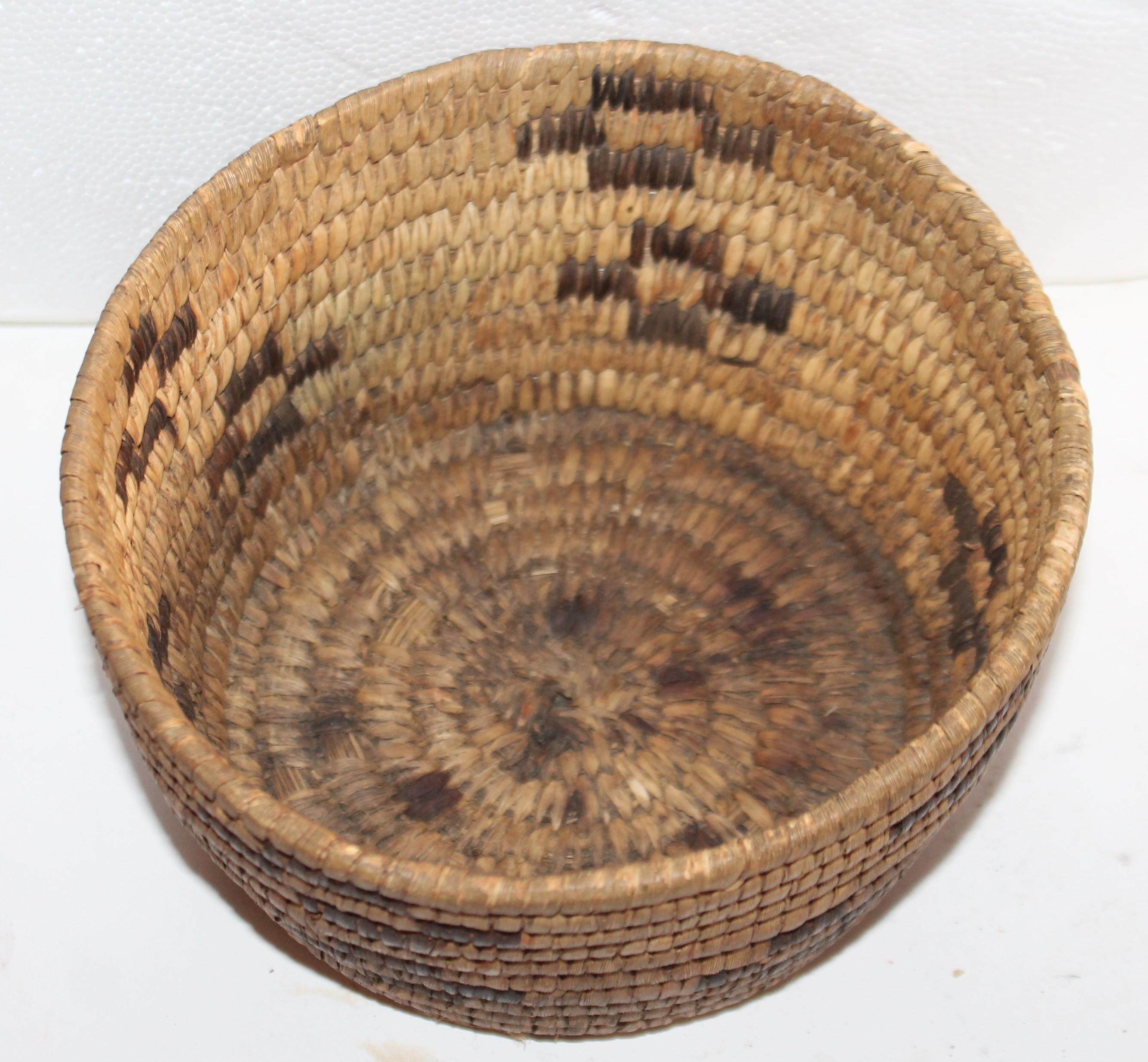 Collection of Five Indian Baskets For Sale 1