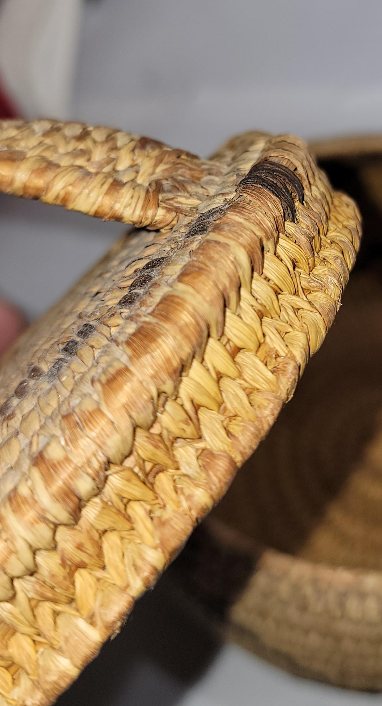 Canapa Collezione  di cinque cesti Papago in vendita