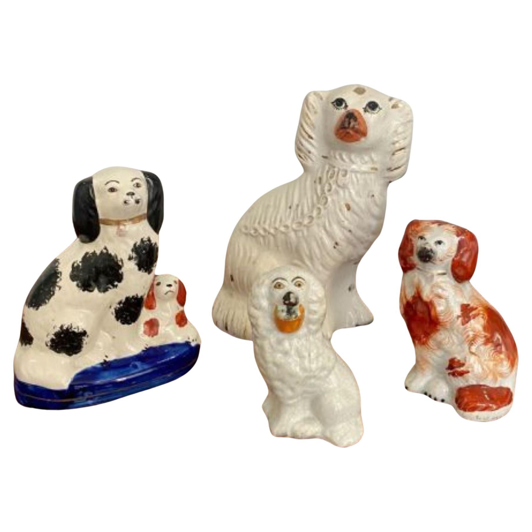 Collection Of Four Antique Quality Staffordshire Dogs For Sale