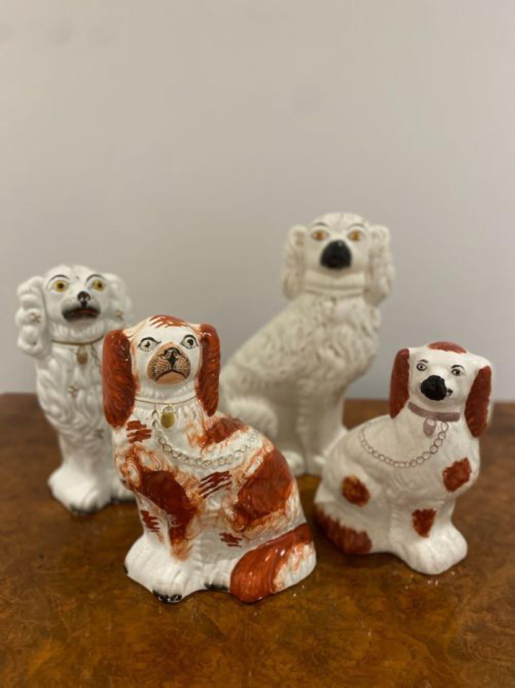 Collection of four antique quality Staffordshire hand painted Spaniels. Four quality Staffordshire spaniel dogs seated in wonderful black, red & white colours wearing collars and padlocks 
