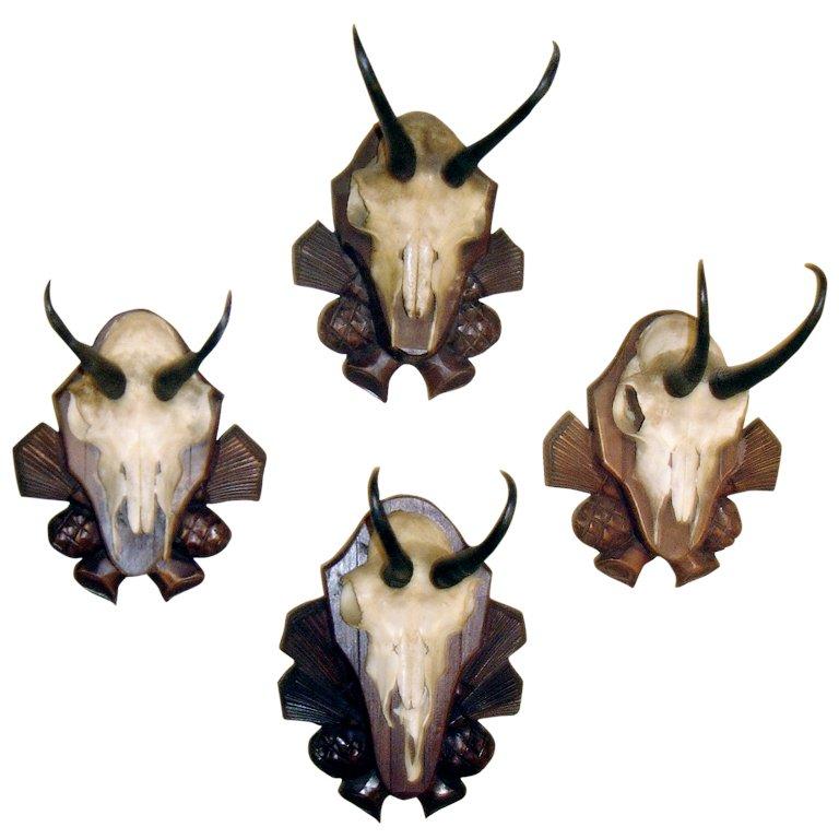 Collection of Four Black Forest Chamois Mounts of Carved Wood Plaques Priced per For Sale